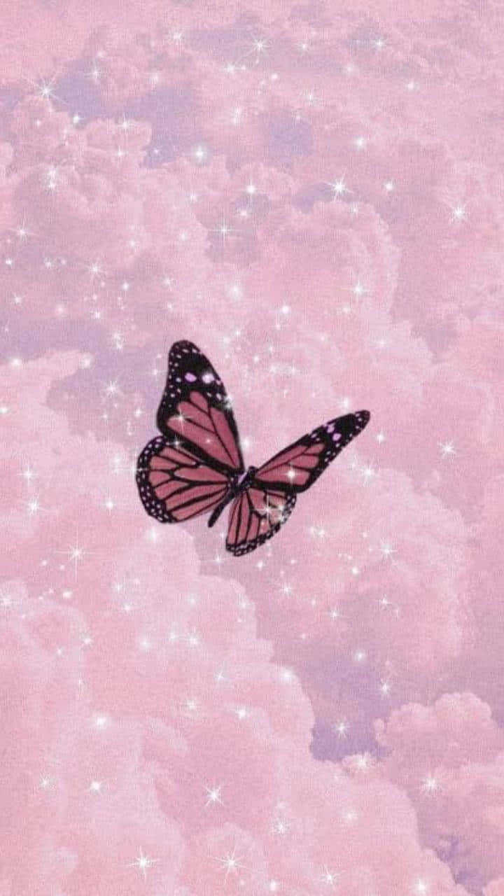 La impresionante belleza de una mariposa estética Fondos de pantalla
