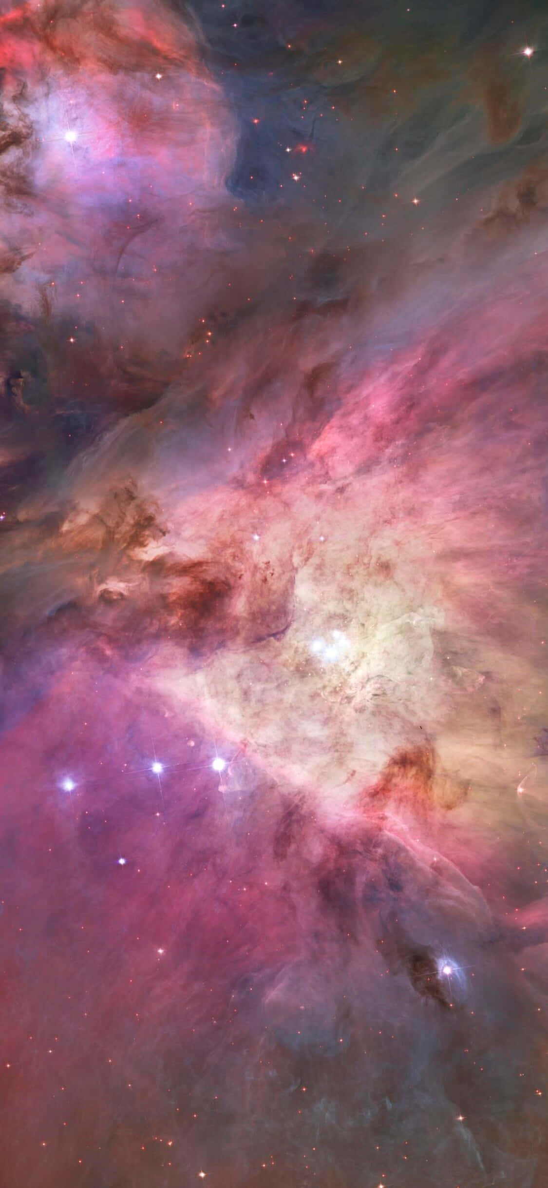 La impresionante constelación de Orión contra un mar de estrellas. Fondos de pantalla