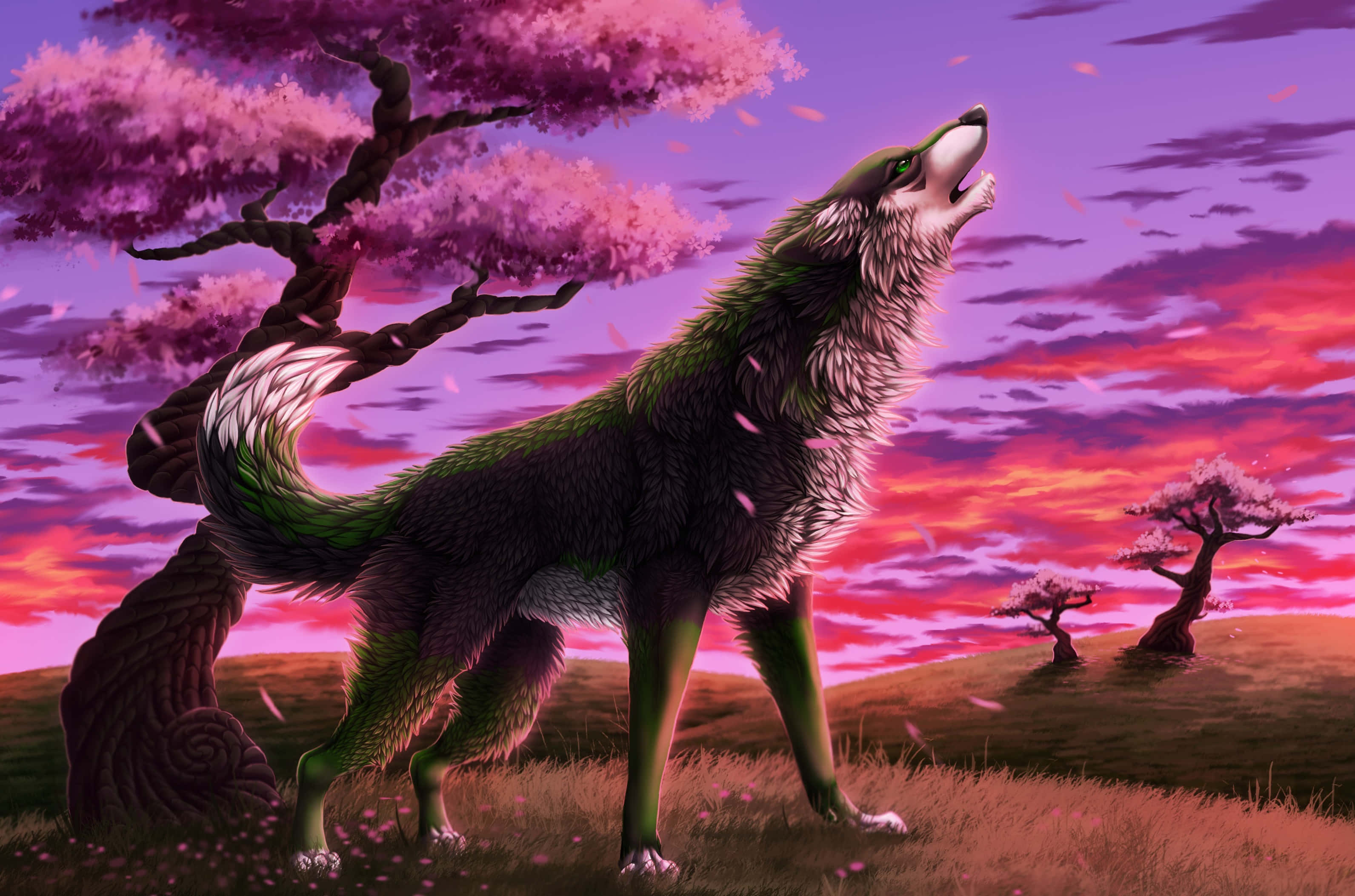 La Majestuosa Visión de un Lobo Feroz Fondos de pantalla