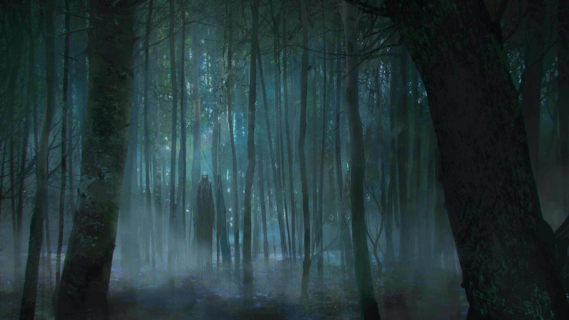 "La misteriosa belleza de un bosque oscuro" Fondos de pantalla