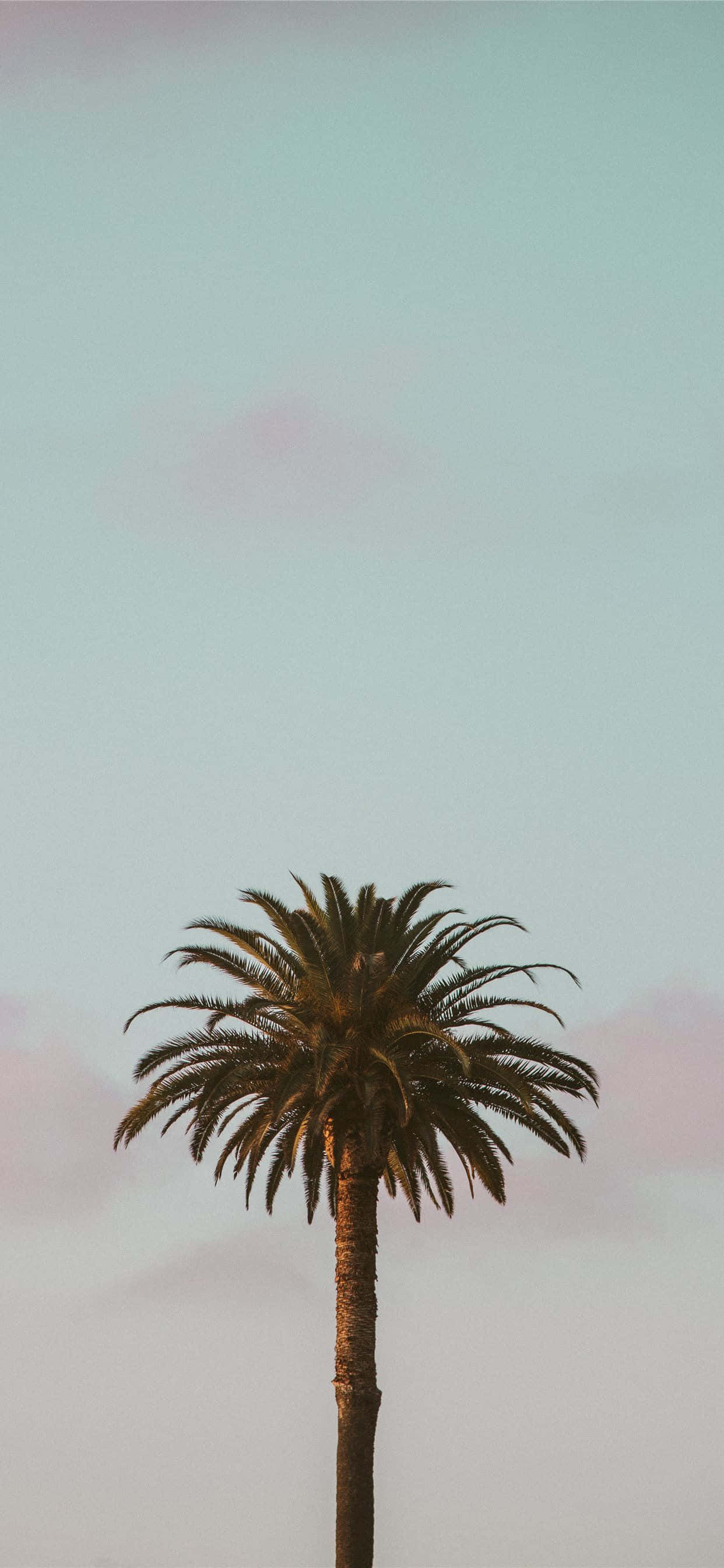 La naturaleza trae vida a nuestras vidas Fondos de pantalla