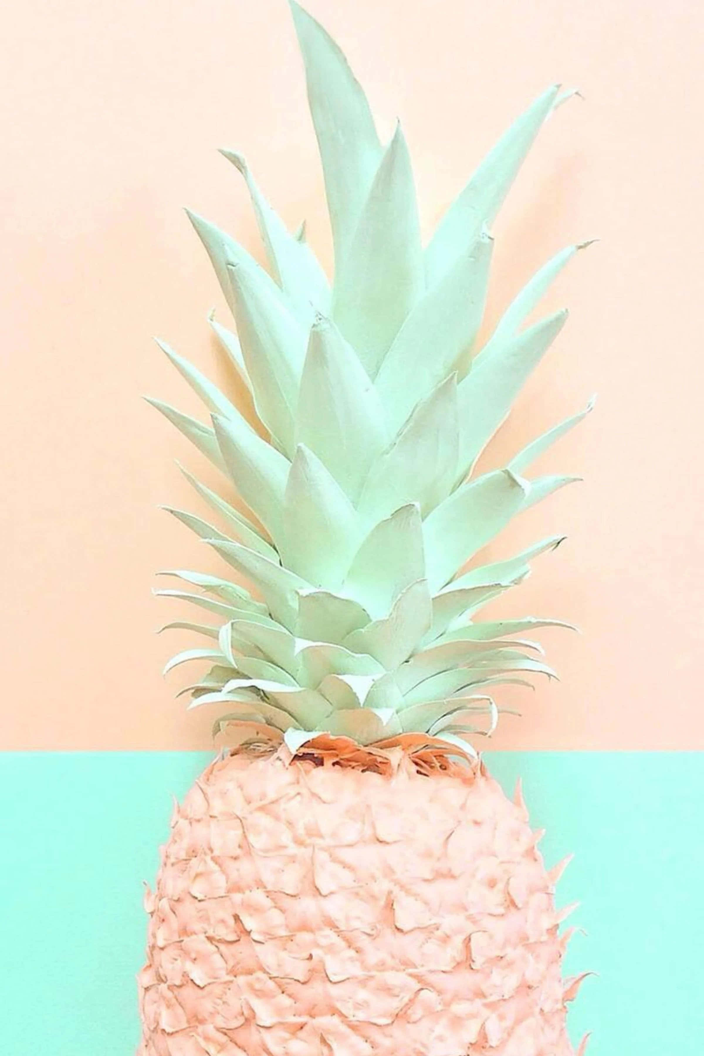 La piña fresca es un bocadillo jugoso de verano Fondos de pantalla