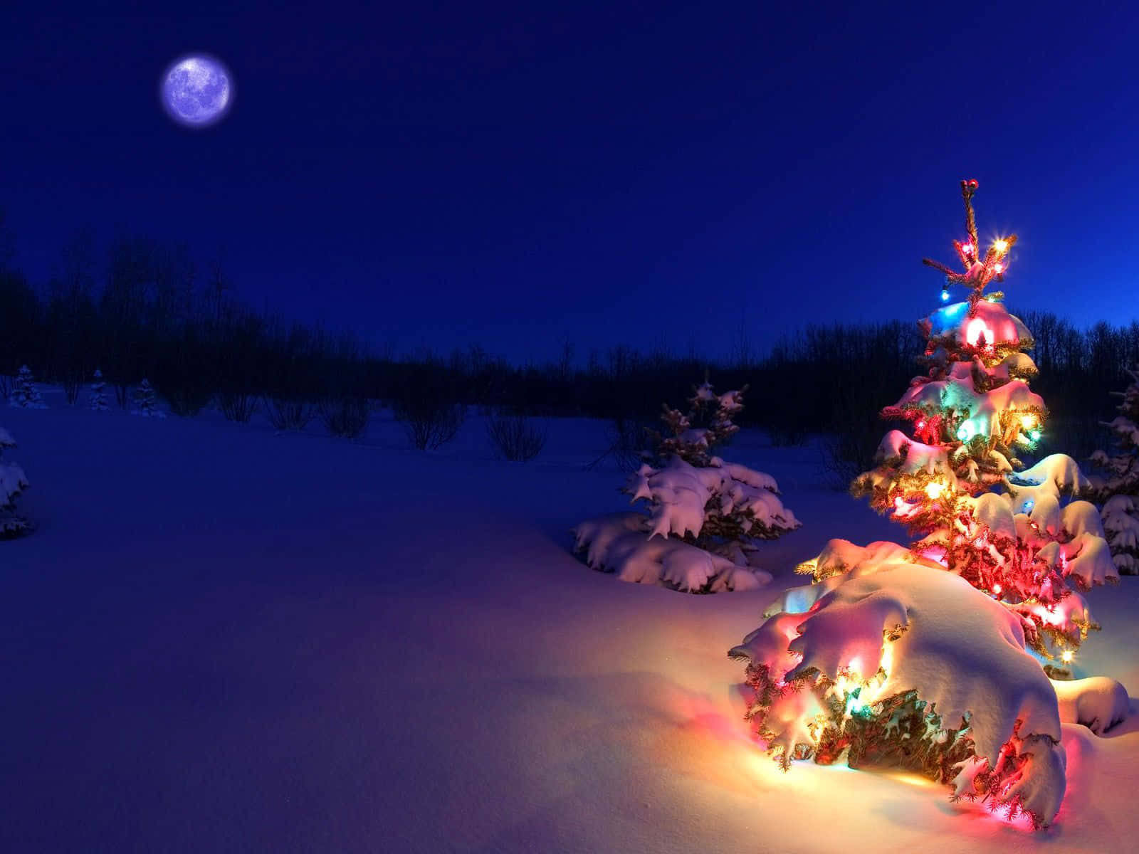 La transformación de Scrooge en el clásico cuento navideño 'Un Cuento de Navidad' Fondos de pantalla