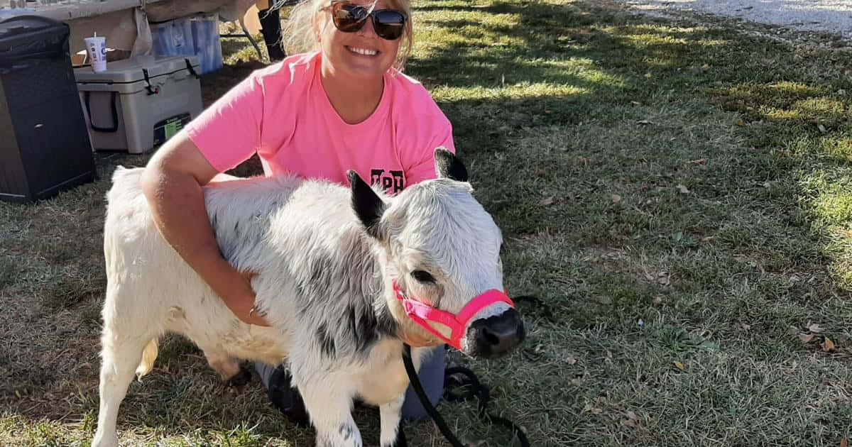 La Vaca Más Linda del Mundo Fondos de pantalla