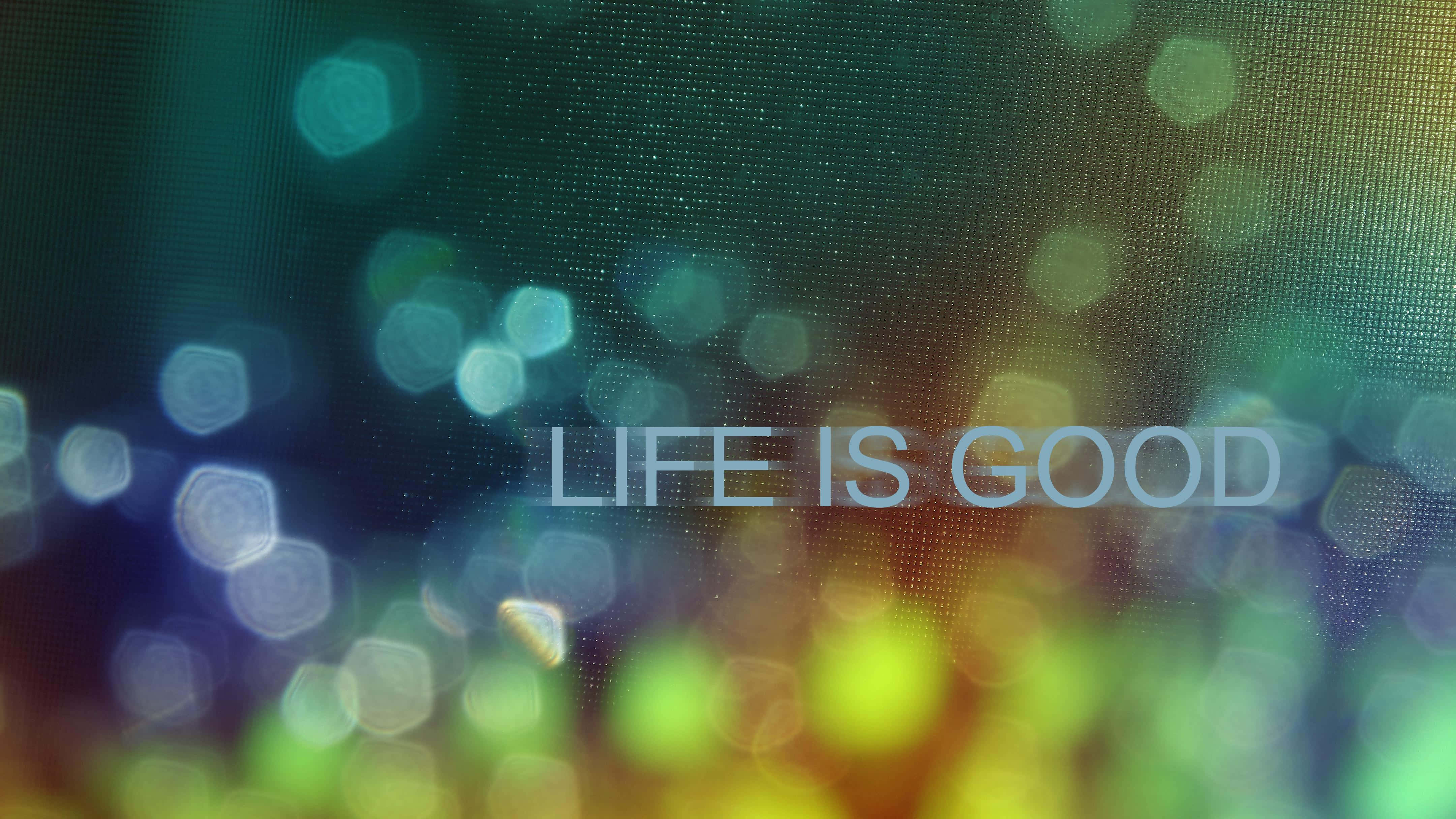 La vida es buena en bokeh Fondos de pantalla