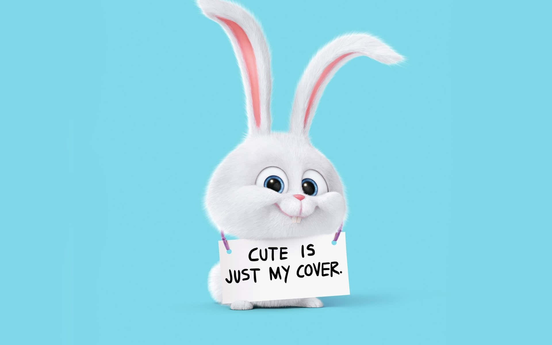 La Vida Secreta de Tus Mascotas 2 Conejito Lindo Fondos de pantalla