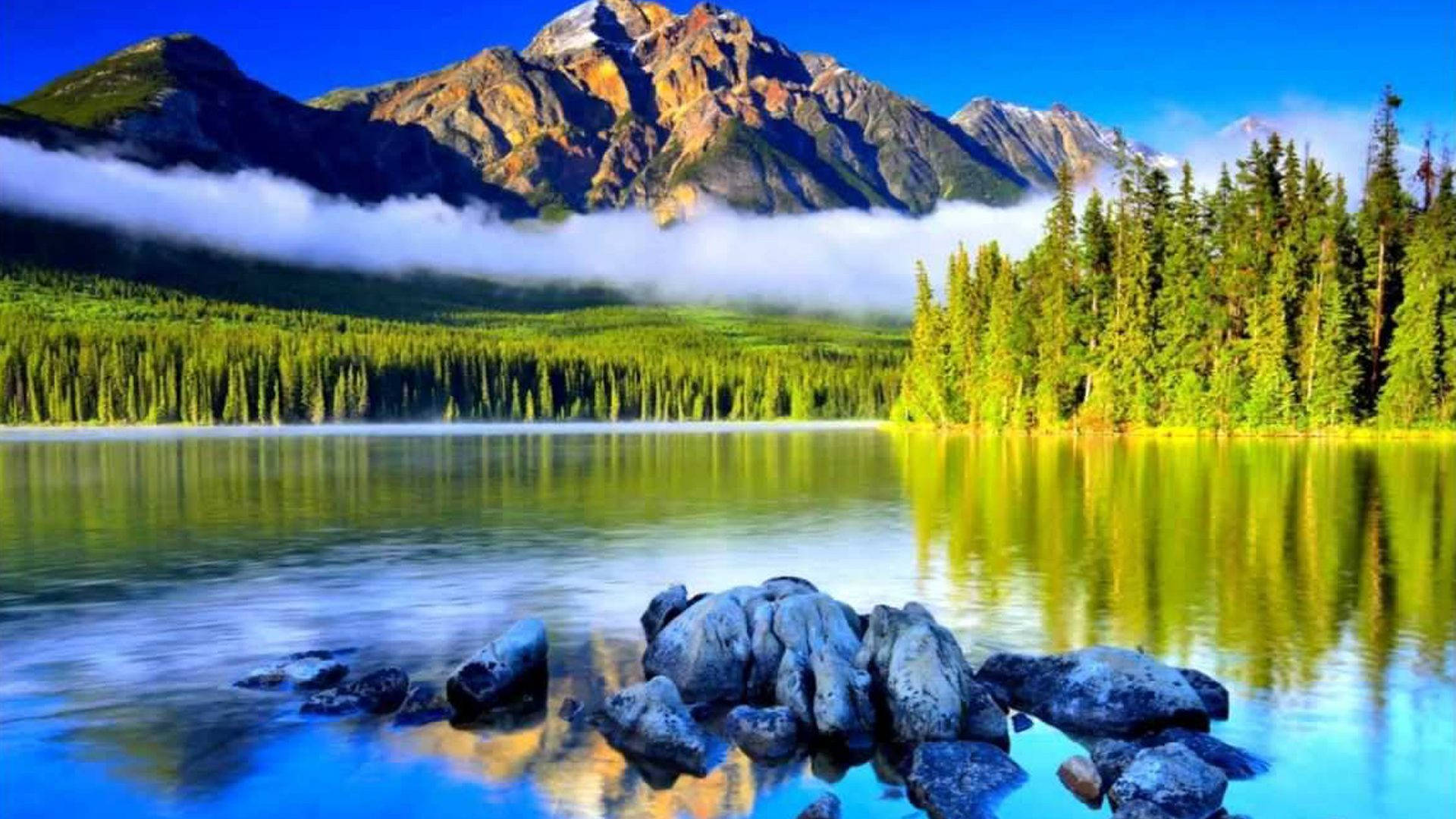 Lago con vista al bosque Fondos de pantalla