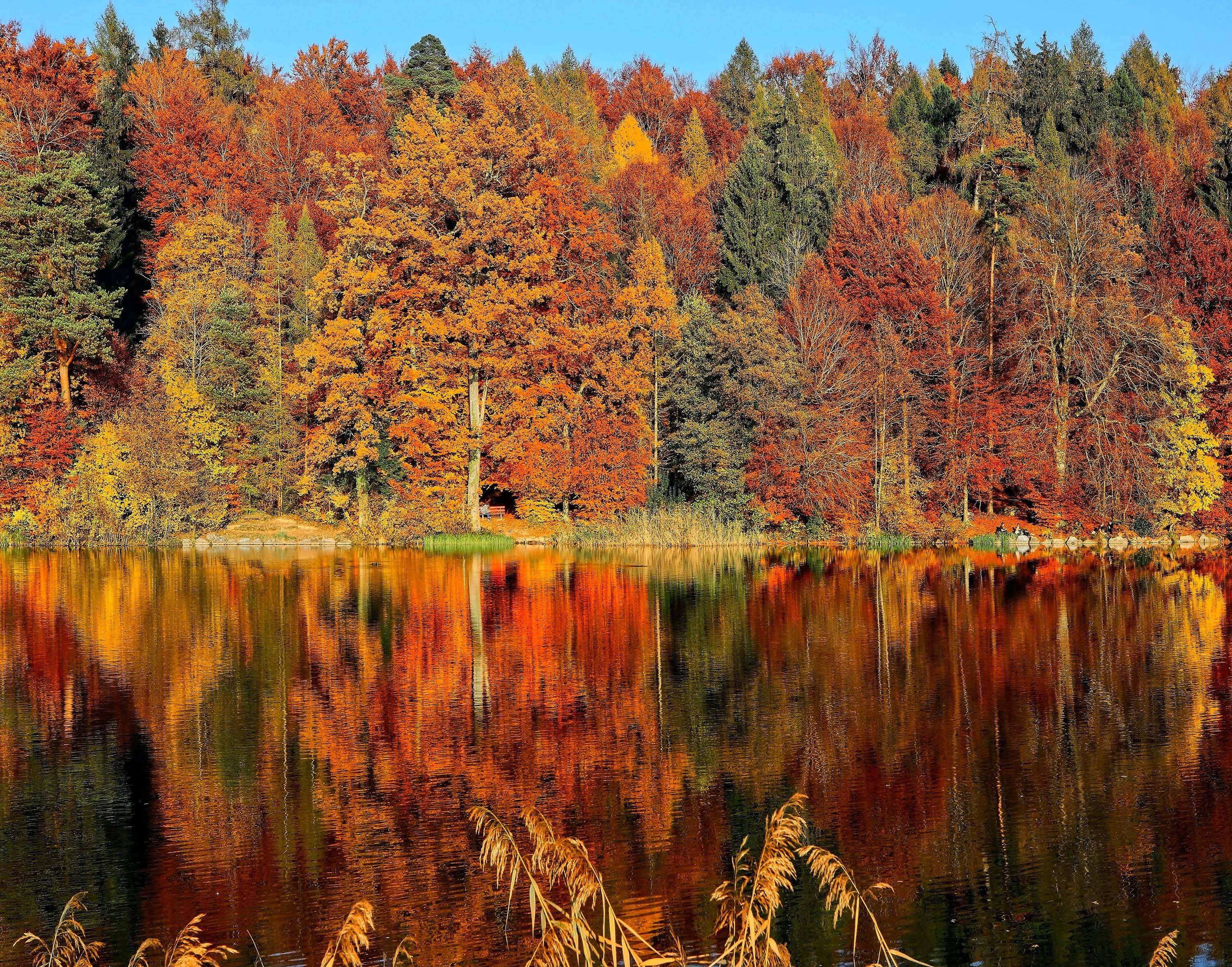 Lago Horgenberg con estética otoñal Fondos de pantalla