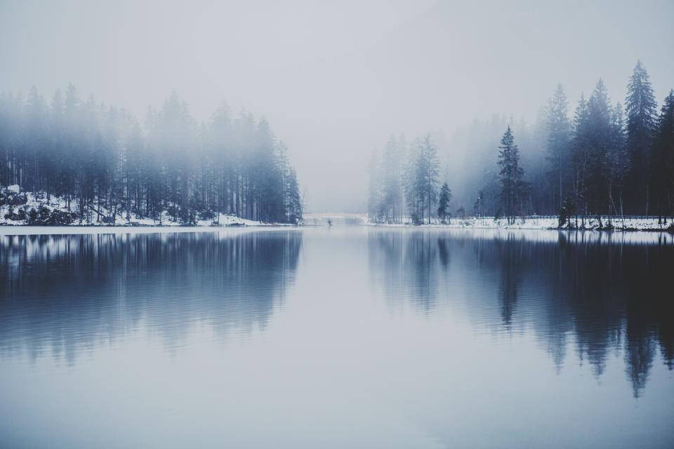 Lago Invernal con Bosque Neblinoso Fondos de pantalla