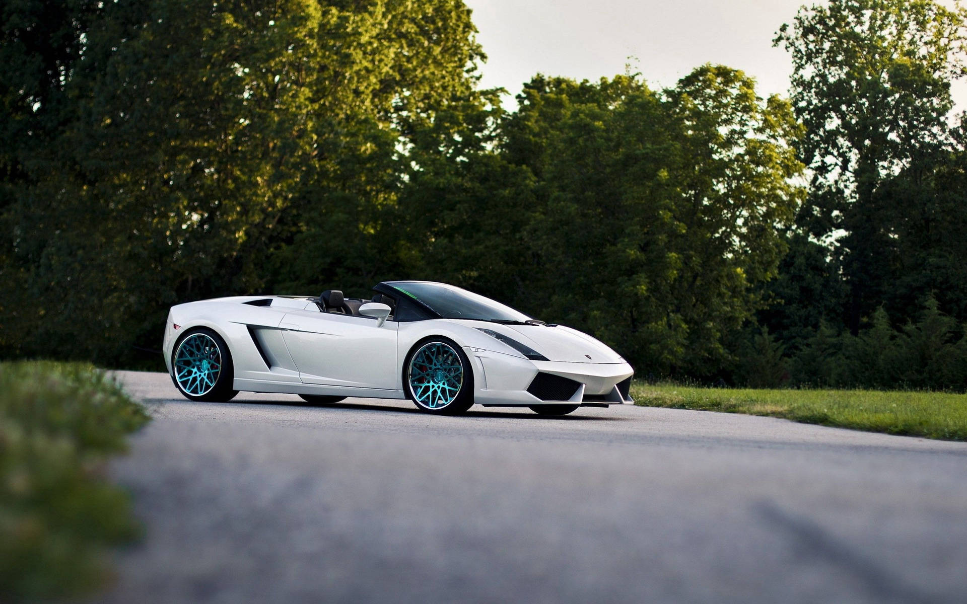 Fondo de pantalla del Lamborghini Gallardo Spyder blanco descapotado.