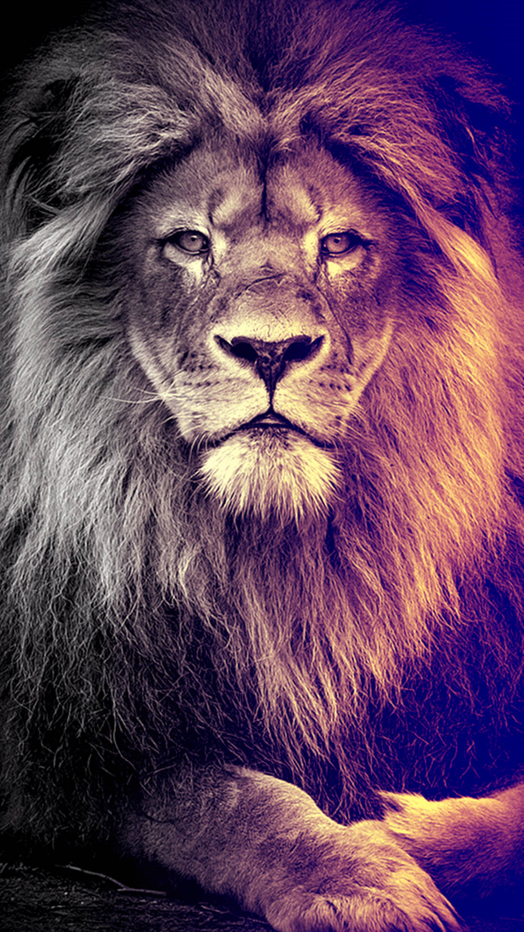León de Arte Digital para iPhone Fondos de pantalla