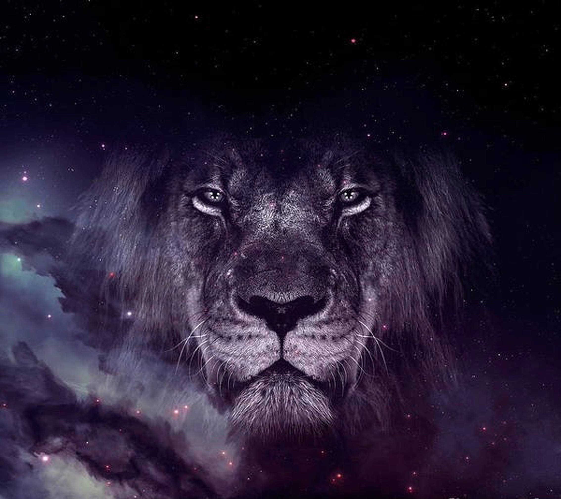 León de Galaxia Monocromo Fondos de pantalla
