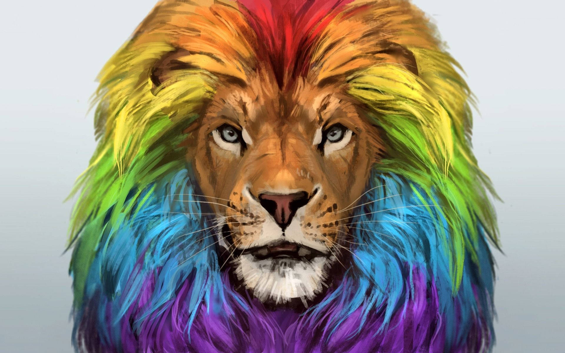 León de Melena Arcoíris Fondos de pantalla