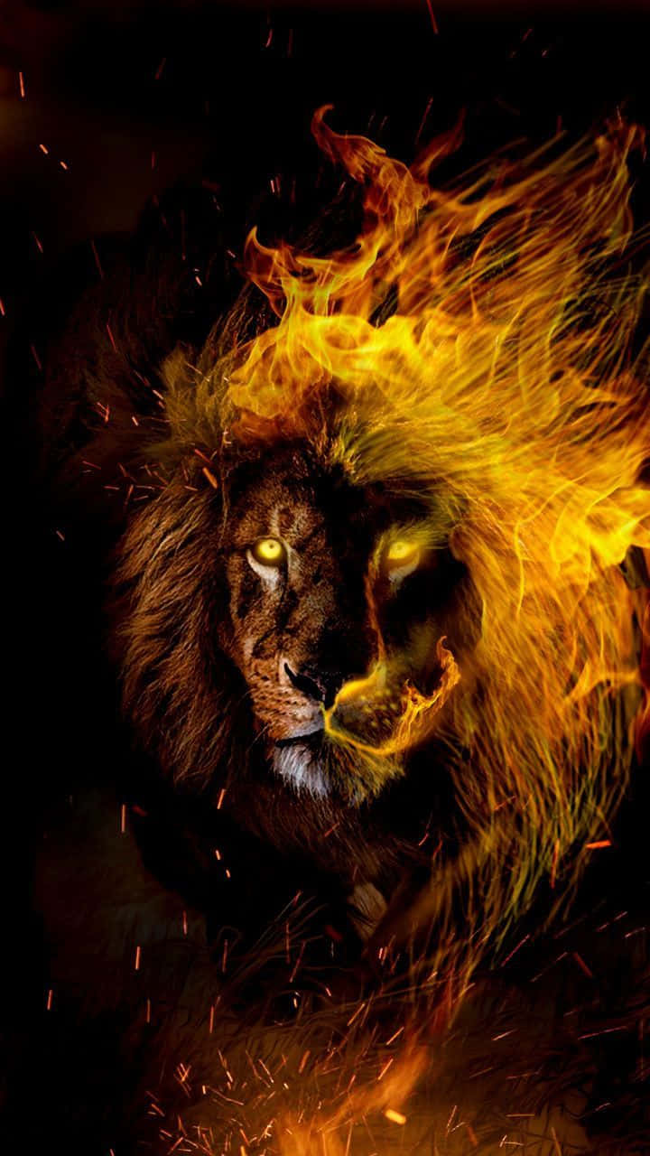 León en llamas zodiaco Leo Fondos de pantalla