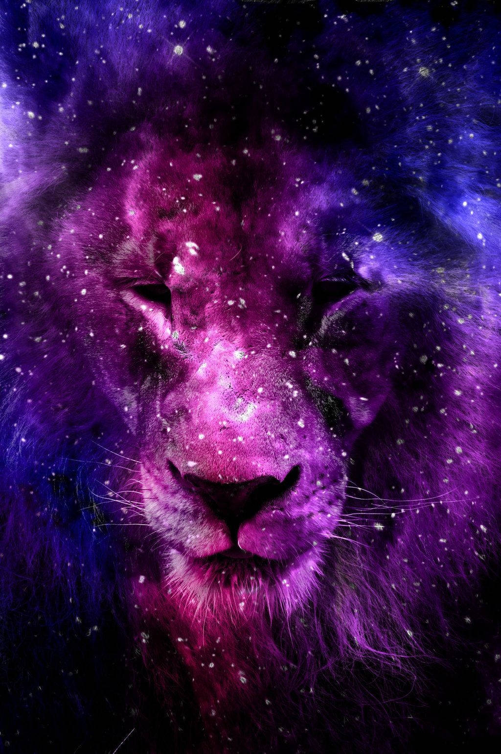 León Galaxia Noche Púrpura Fondos de pantalla