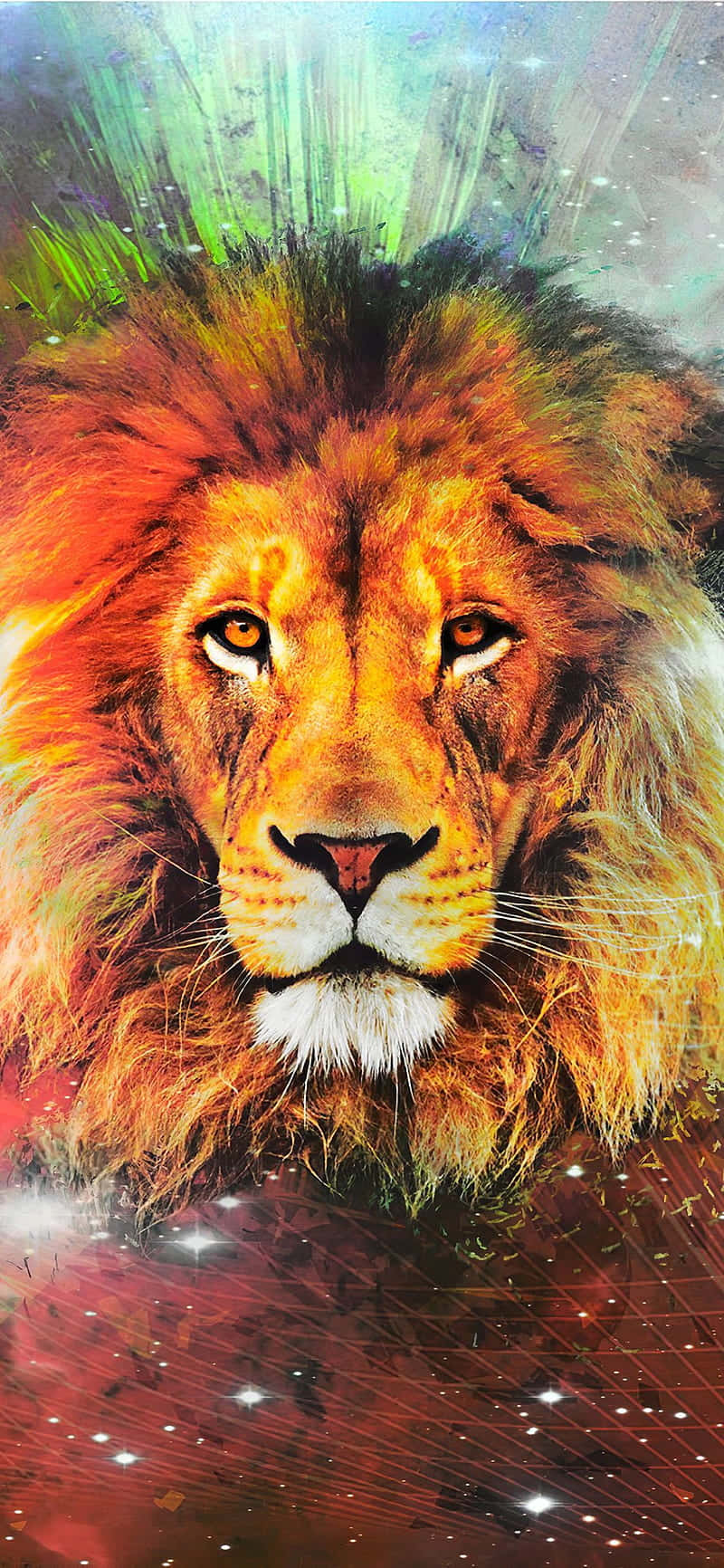 León Majestuoso Rugiendo Fondos de pantalla