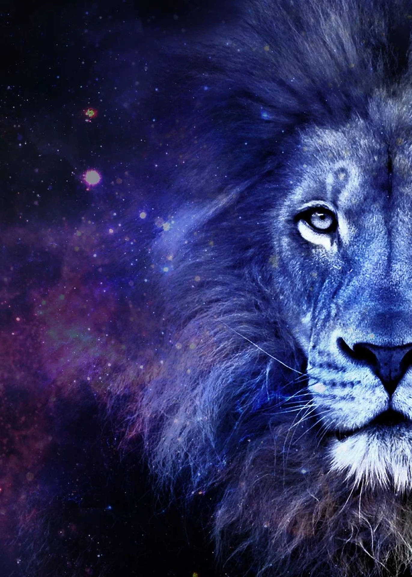 León Púrpura Galaxia Media Cara Fondos de pantalla
