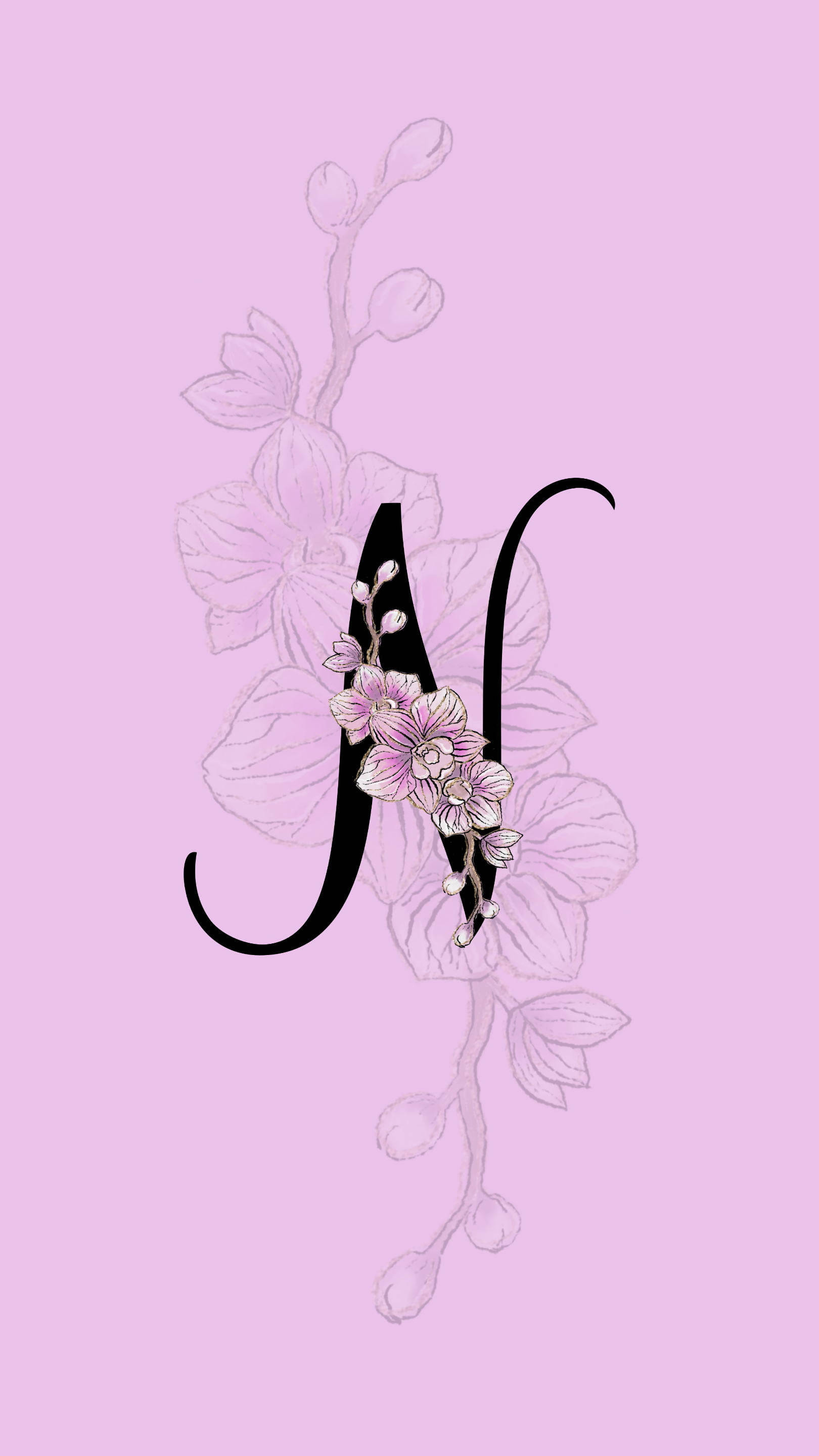 Letra N Orquídea Fondos de pantalla