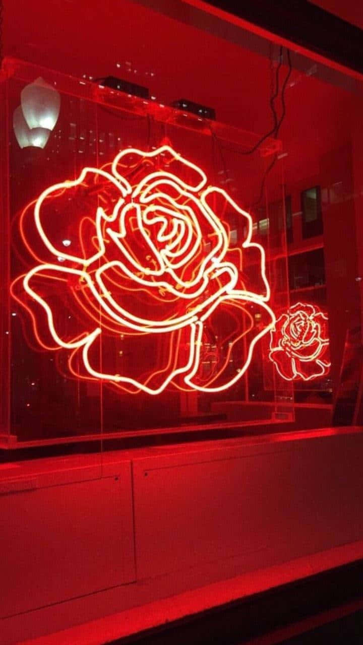Letrero de Neón Rojo de Flor con Estética Rojo Oscuro Fondos de pantalla