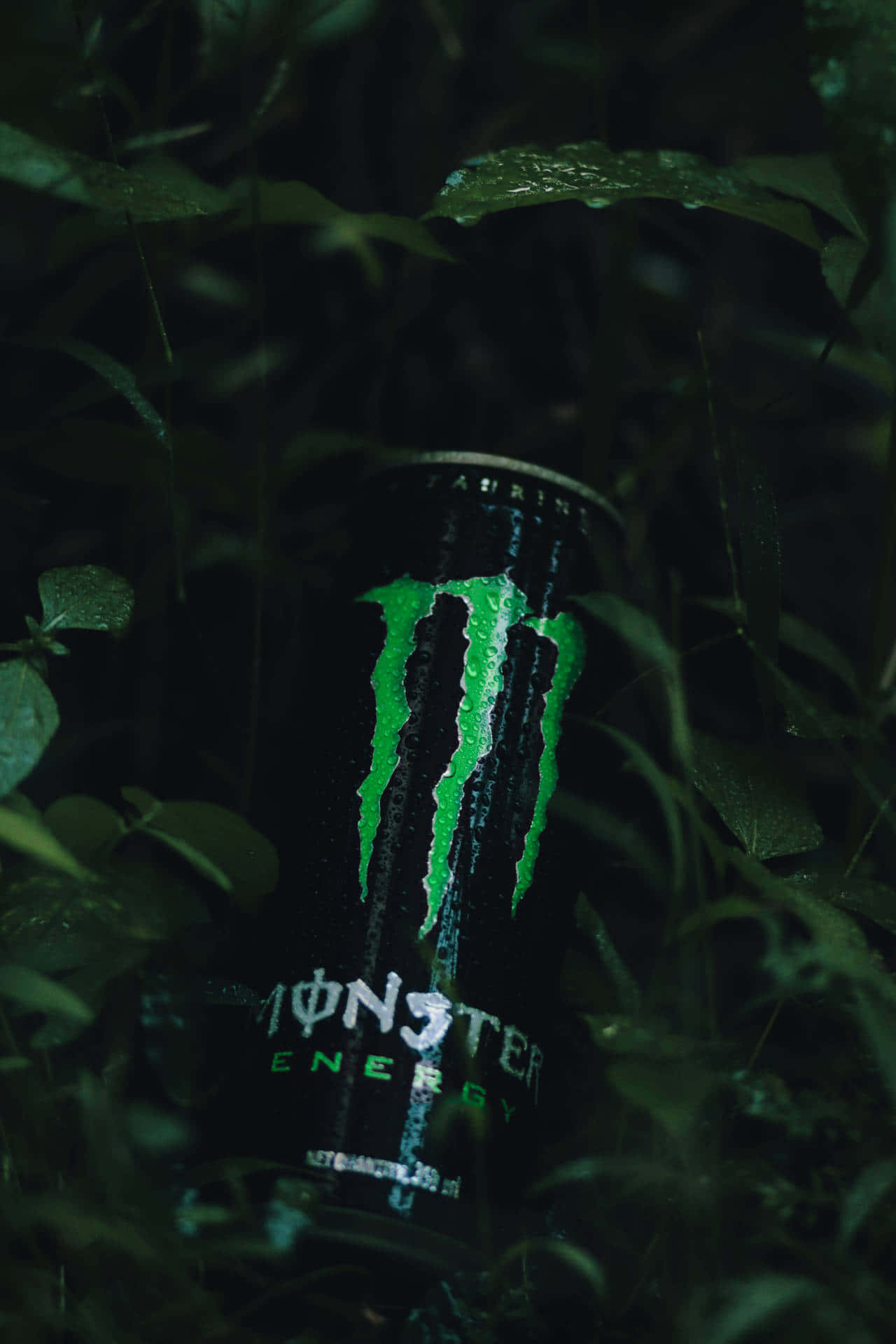 Libera la bestia con Monster Energy Fondos de pantalla