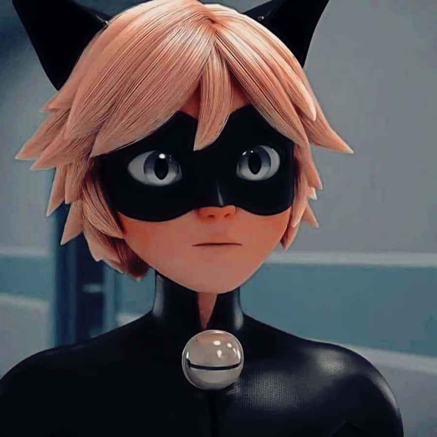 Libera tu Cat Noir interior Fondos de pantalla