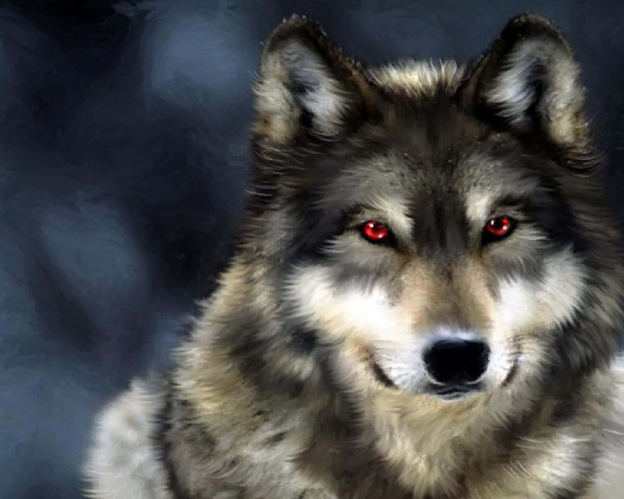Libera tu fuerza interior con Cool Wolf Fondos de pantalla