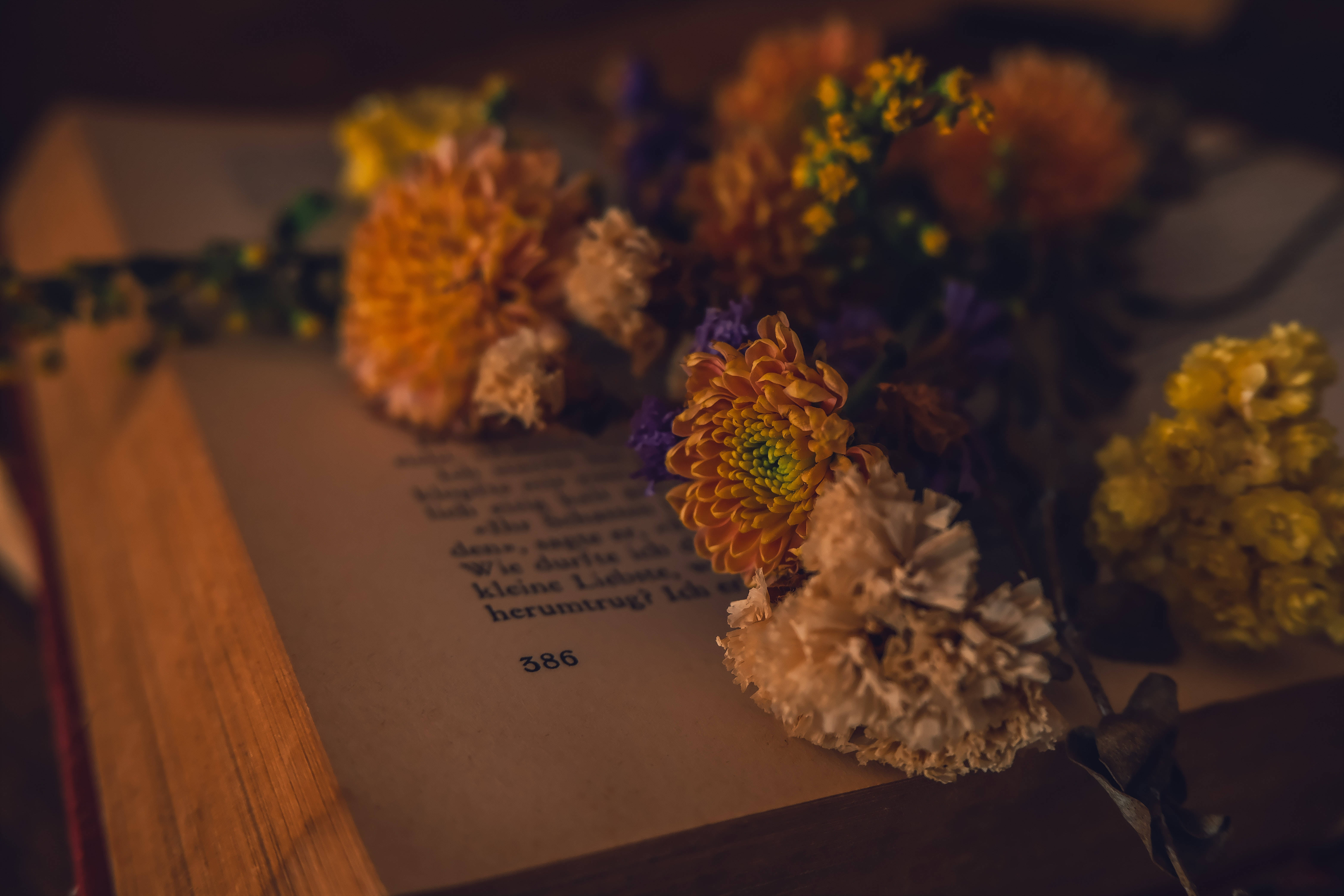 Libro Abierto con Flores Escritorio Academia Oscura Fondos de pantalla