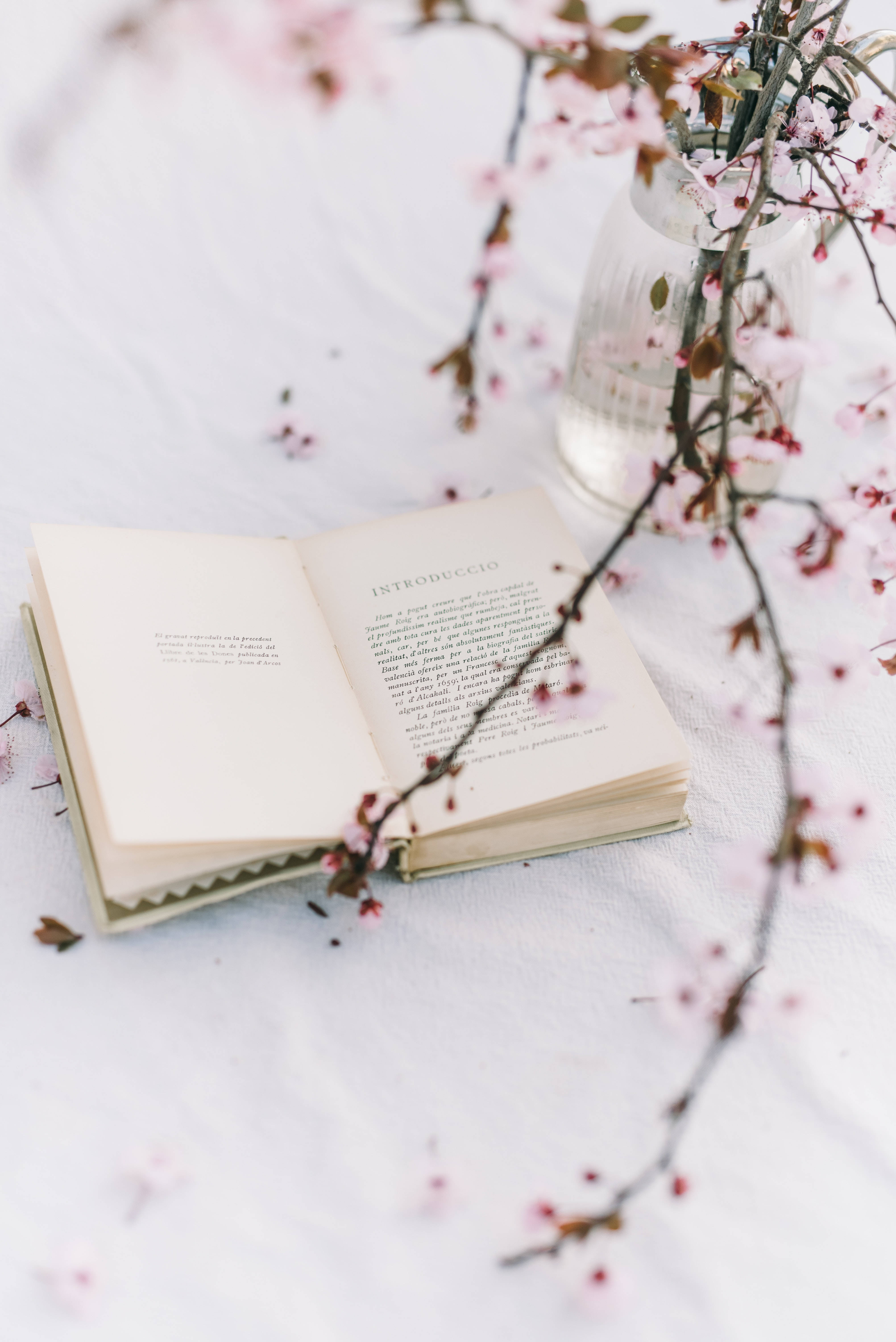 Libro de Flor de Cerezo con Estética Preppy Fondos de pantalla