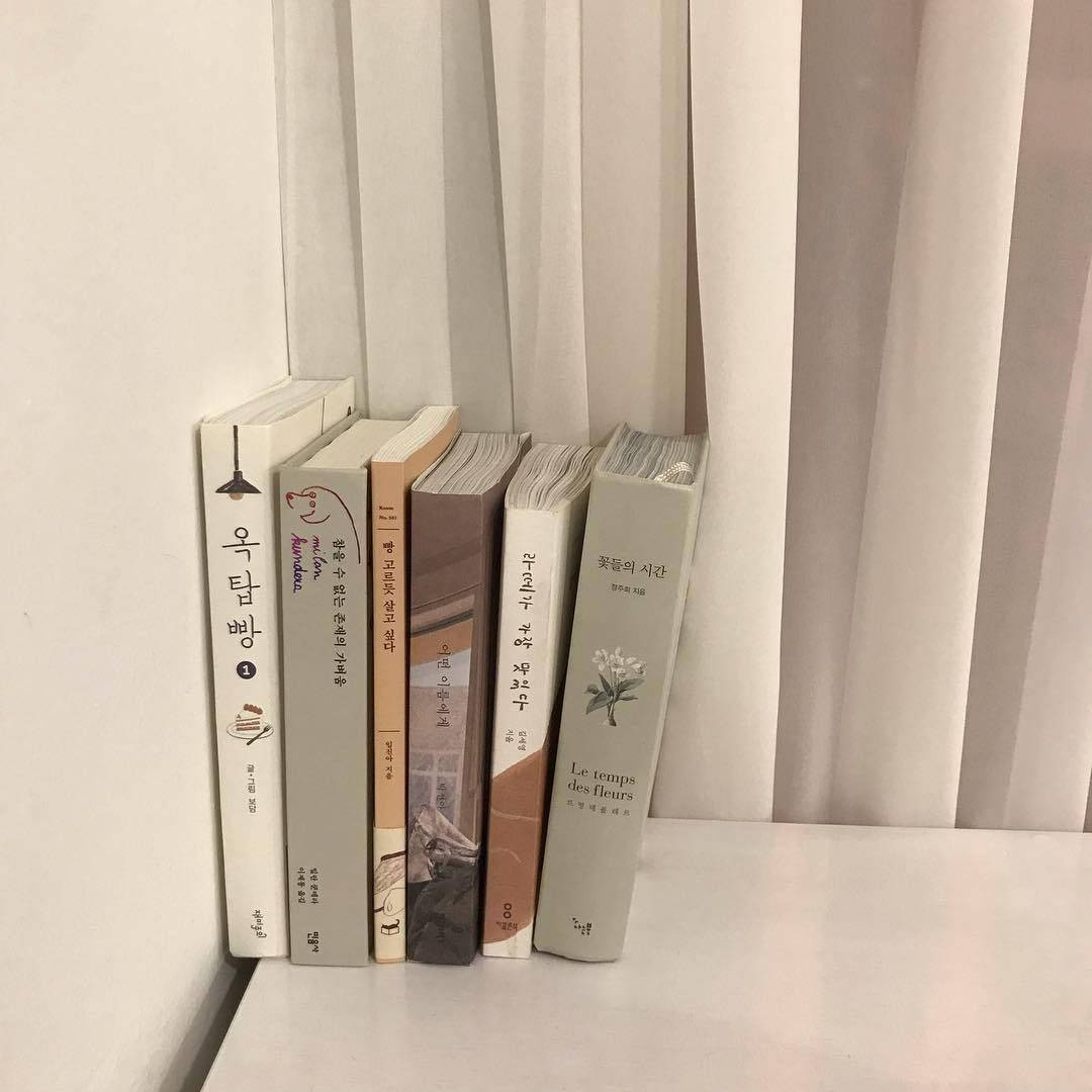 Fondo de pantalla de libros coreanos estética beige