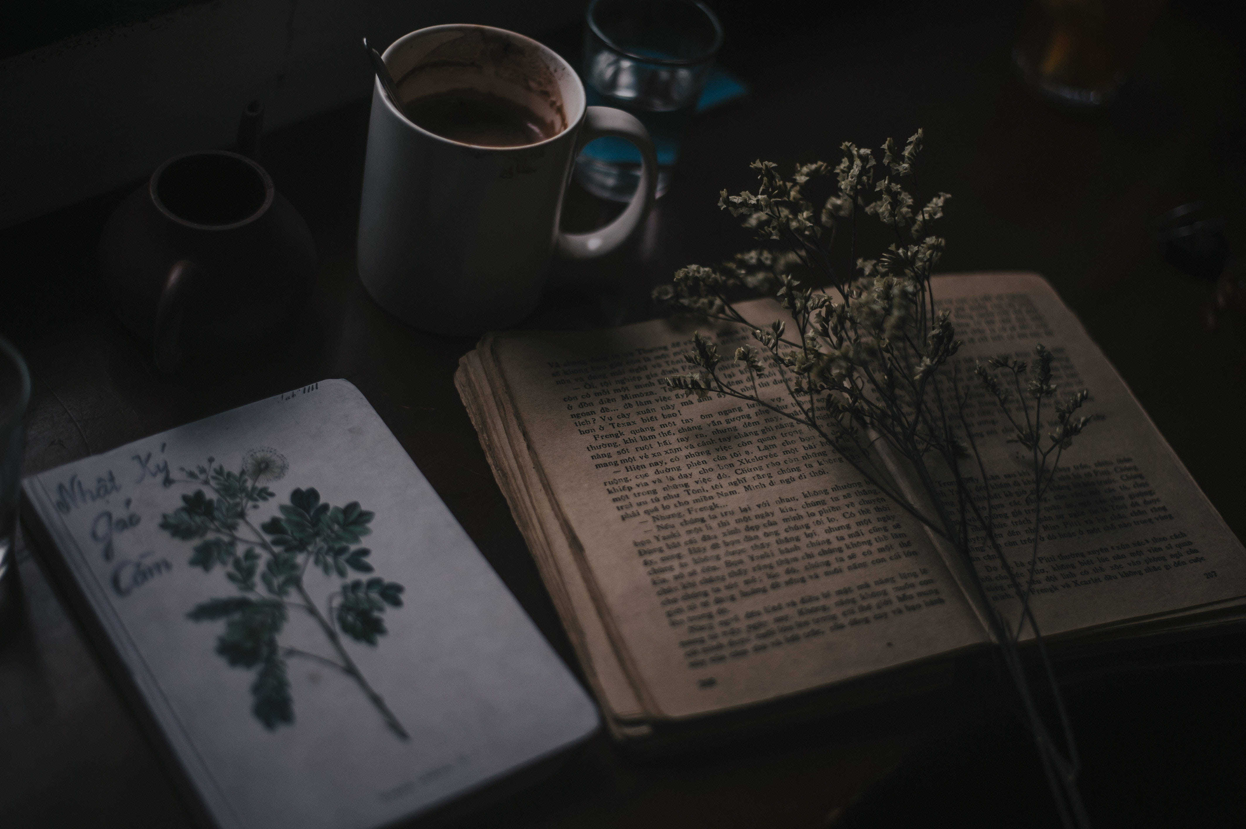 Libros y plantas con estilo preppy Fondos de pantalla