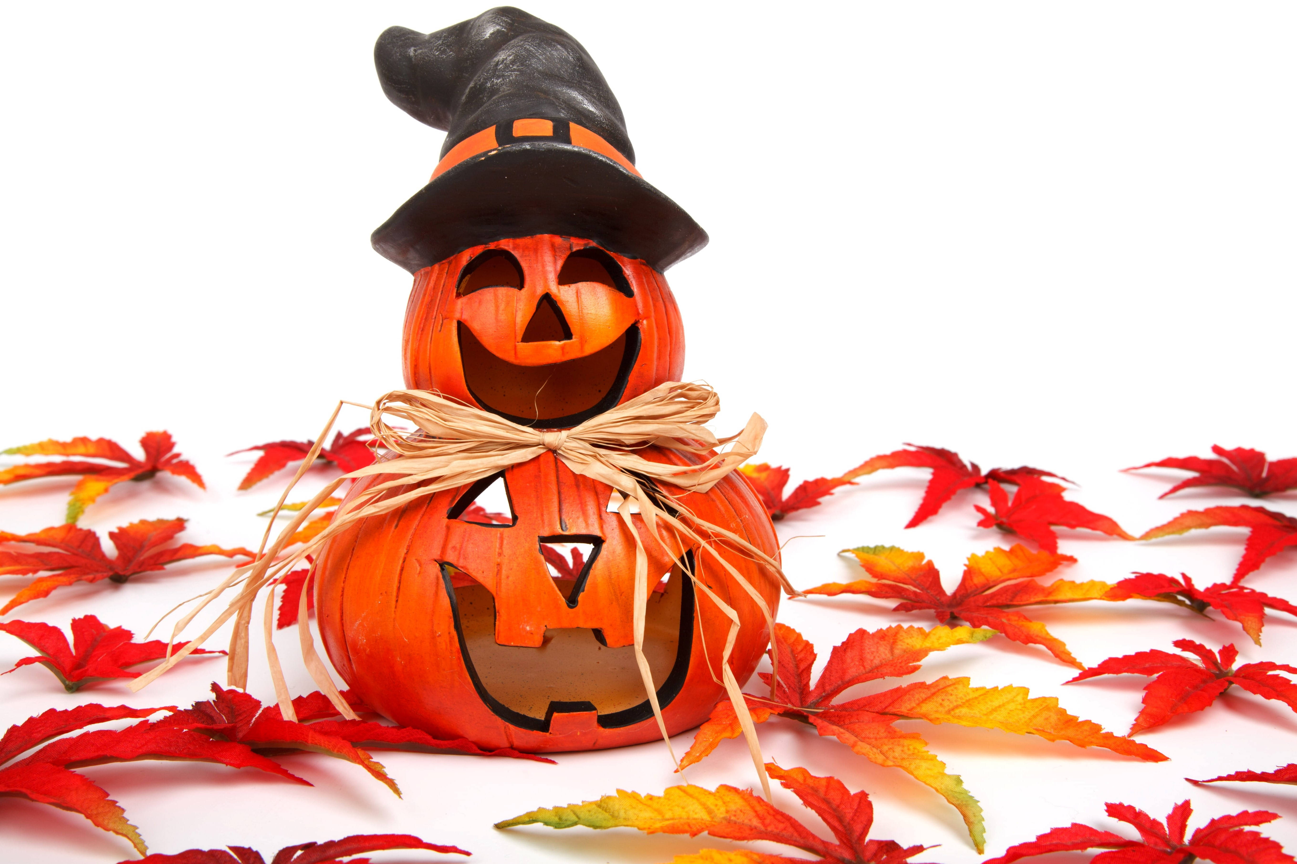 Linda calabaza de Halloween de otoño Fondos de pantalla