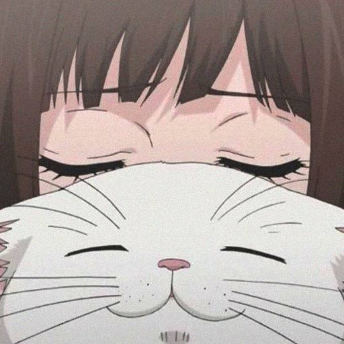 Linda foto de perfil de gato con chica anime Fondos de pantalla