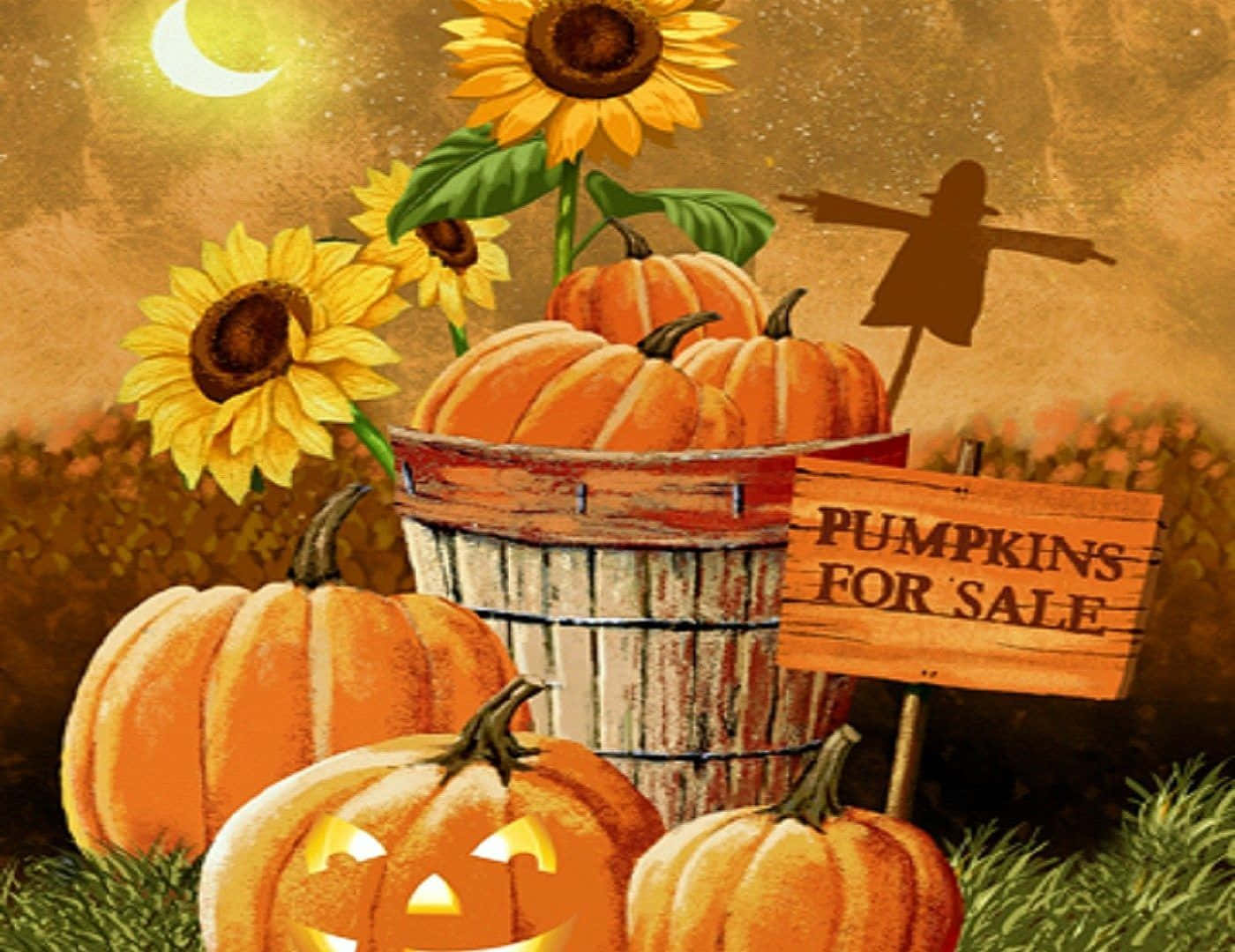 Lindas calabazas en venta imagen Fondos de pantalla