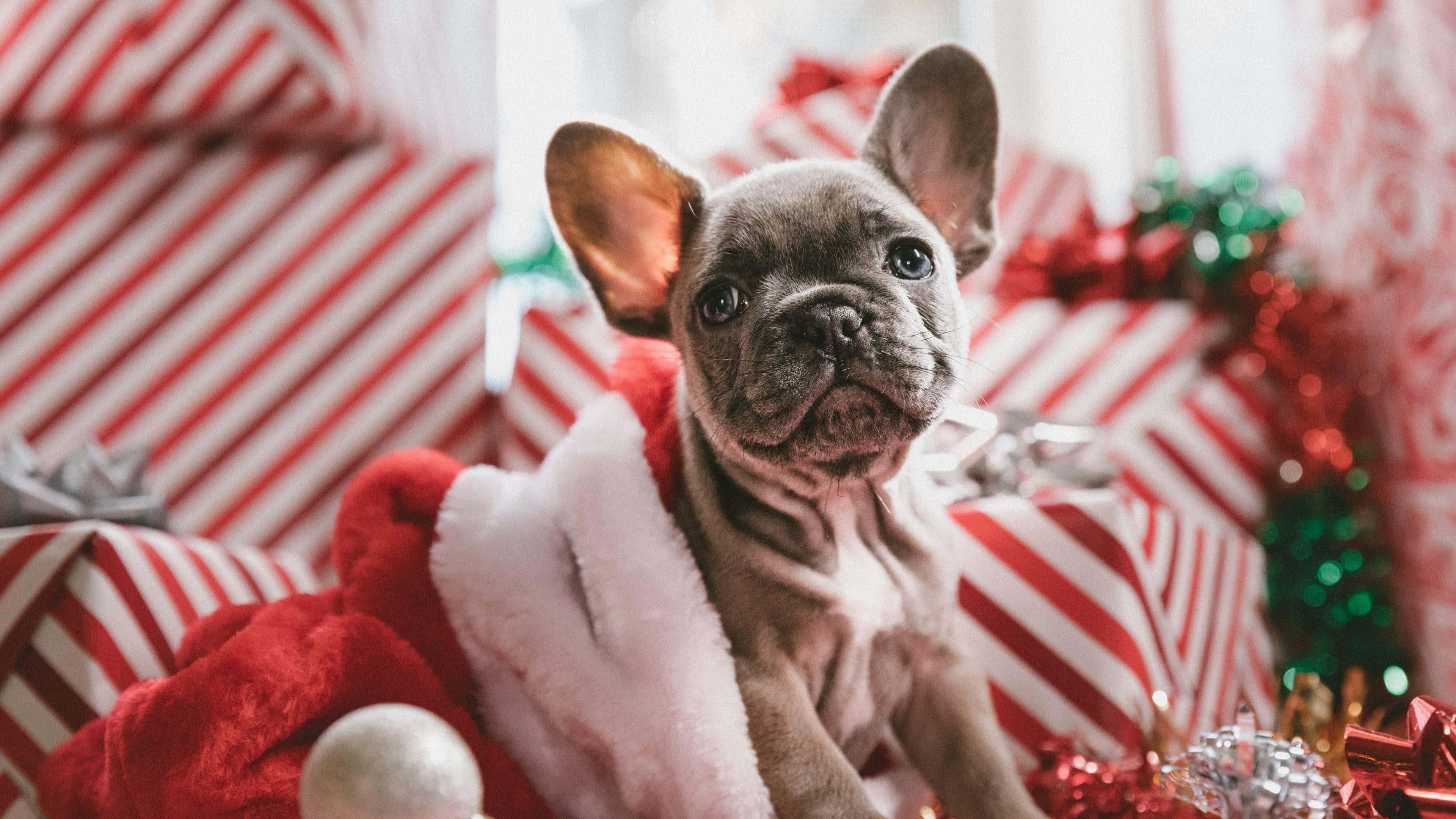 Lindas fotos navideñas estéticas Fondos de pantalla