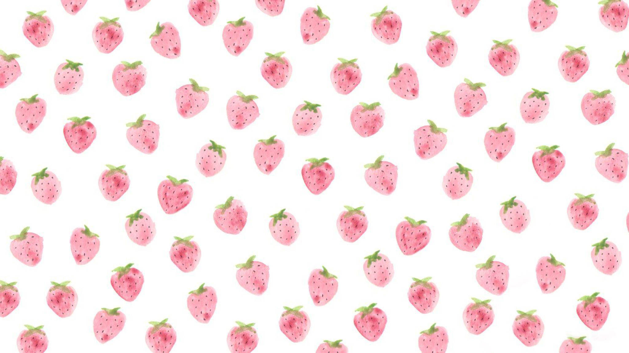 Lindas Fresas Rosadas Pintadas Fondos de pantalla