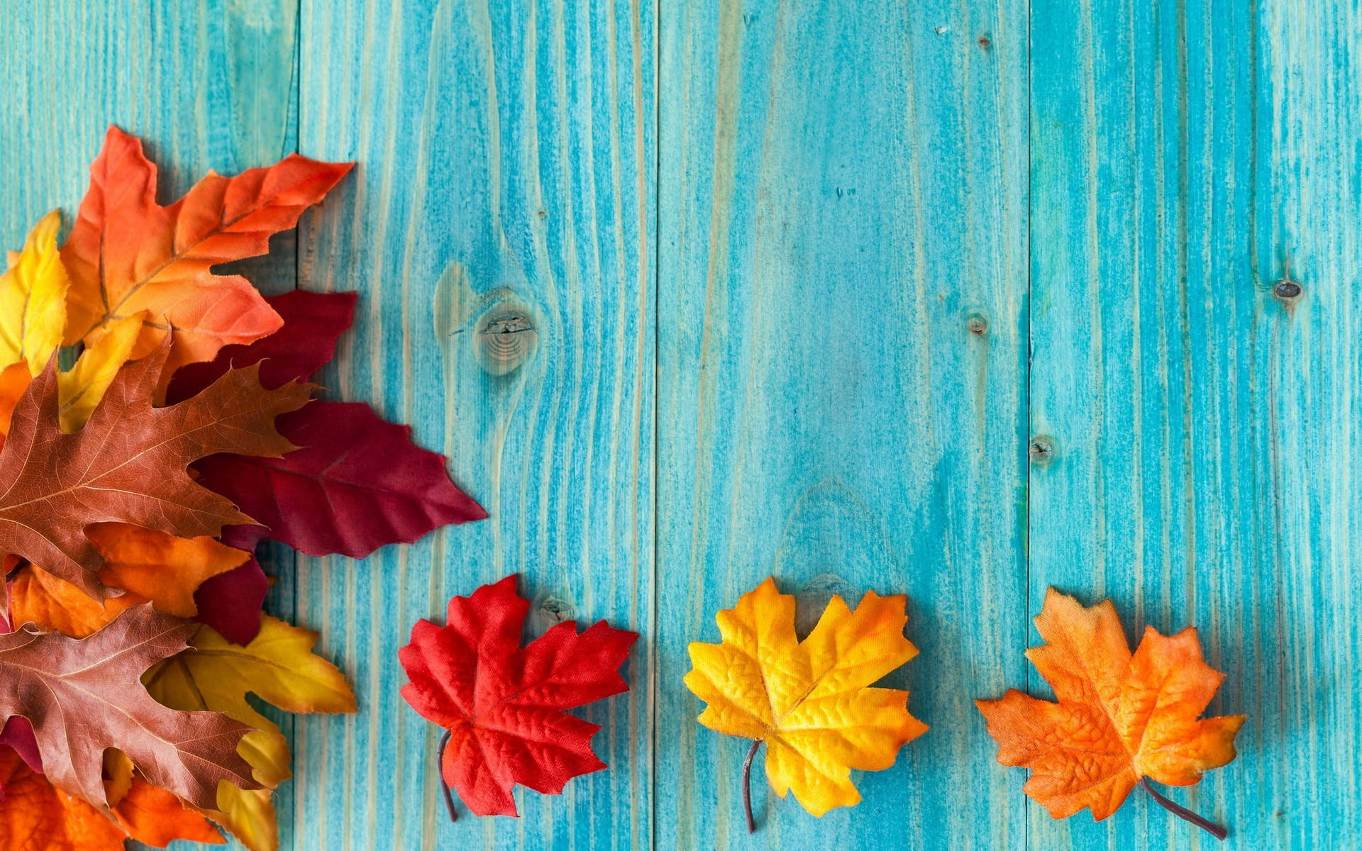 Lindas hojas de otoño degradadas Fondos de pantalla