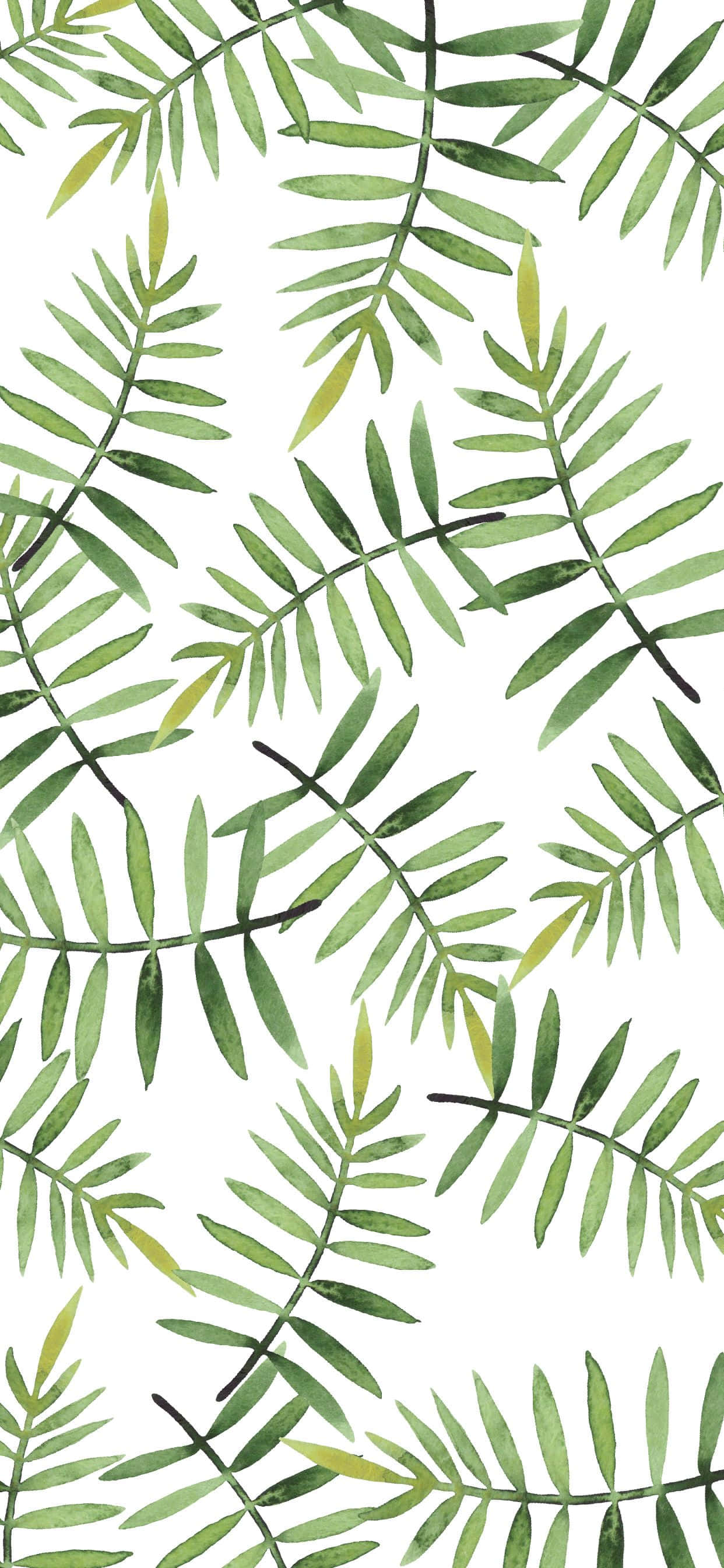 Lindas hojas de helecho palmera verde Fondos de pantalla