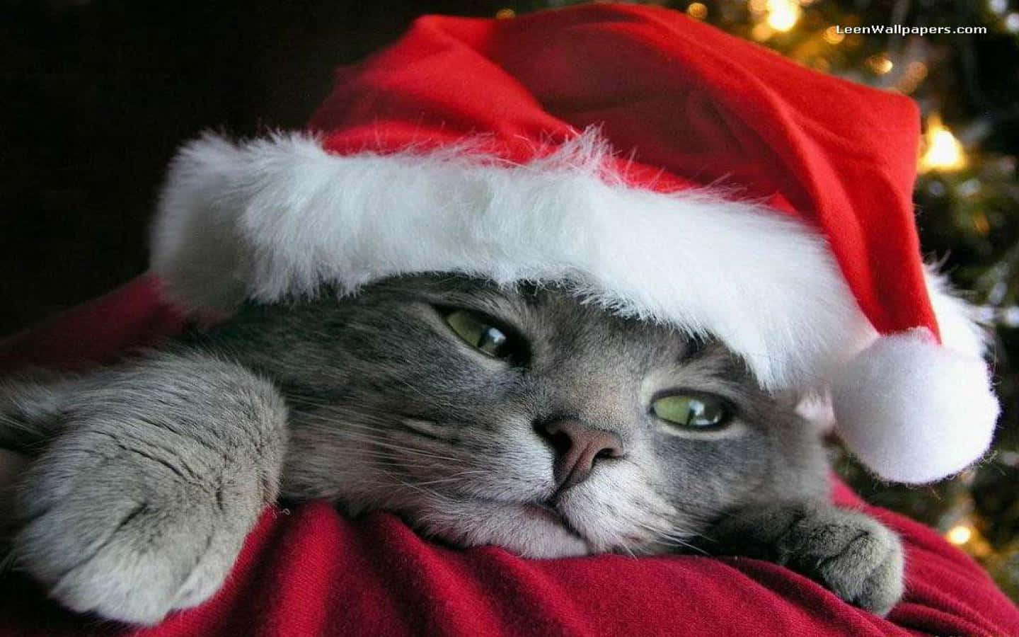 Lindas imágenes navideñas Fondos de pantalla