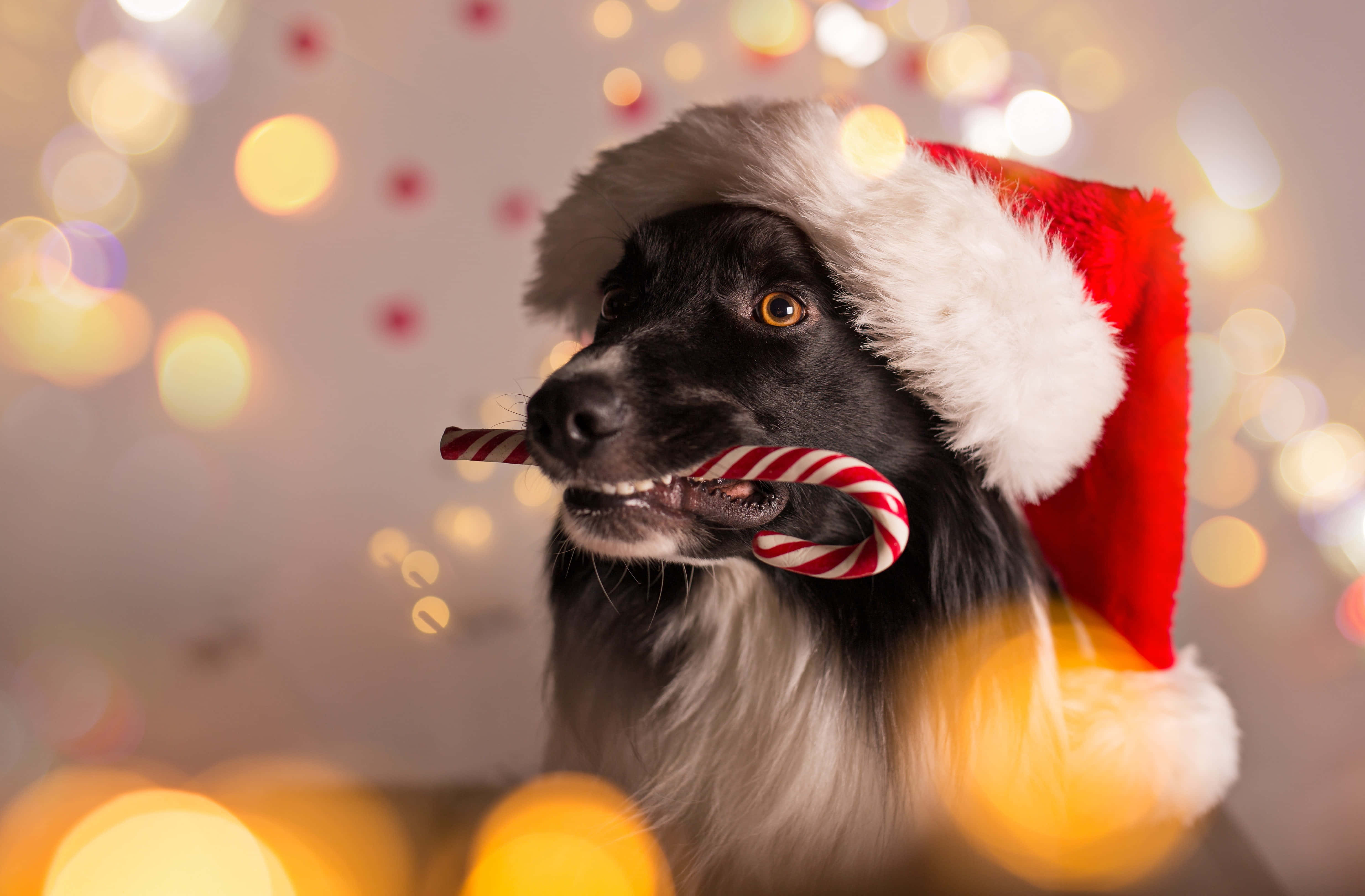 Lindas imágenes estéticas de Navidad Fondos de pantalla