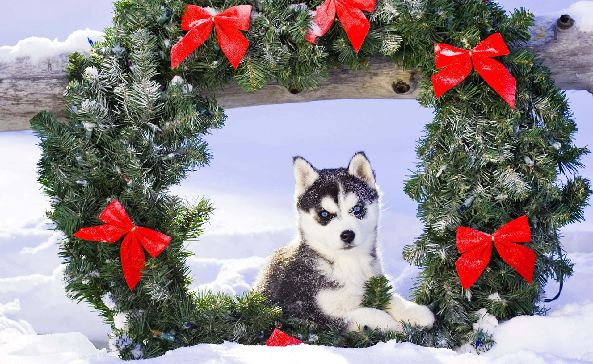Lindas imágenes navideñas estéticas Fondos de pantalla