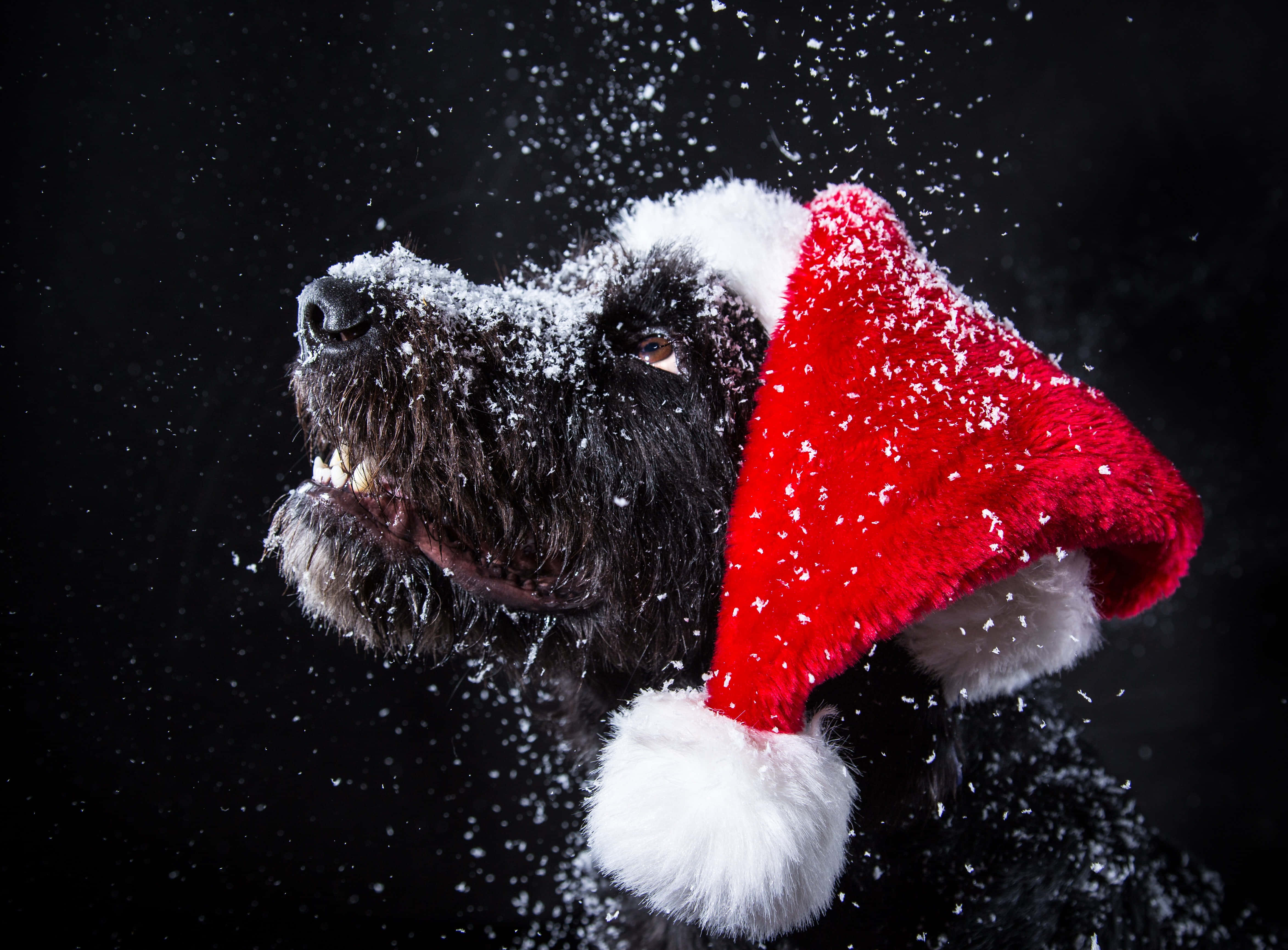 Lindas imágenes navideñas estéticas Fondos de pantalla