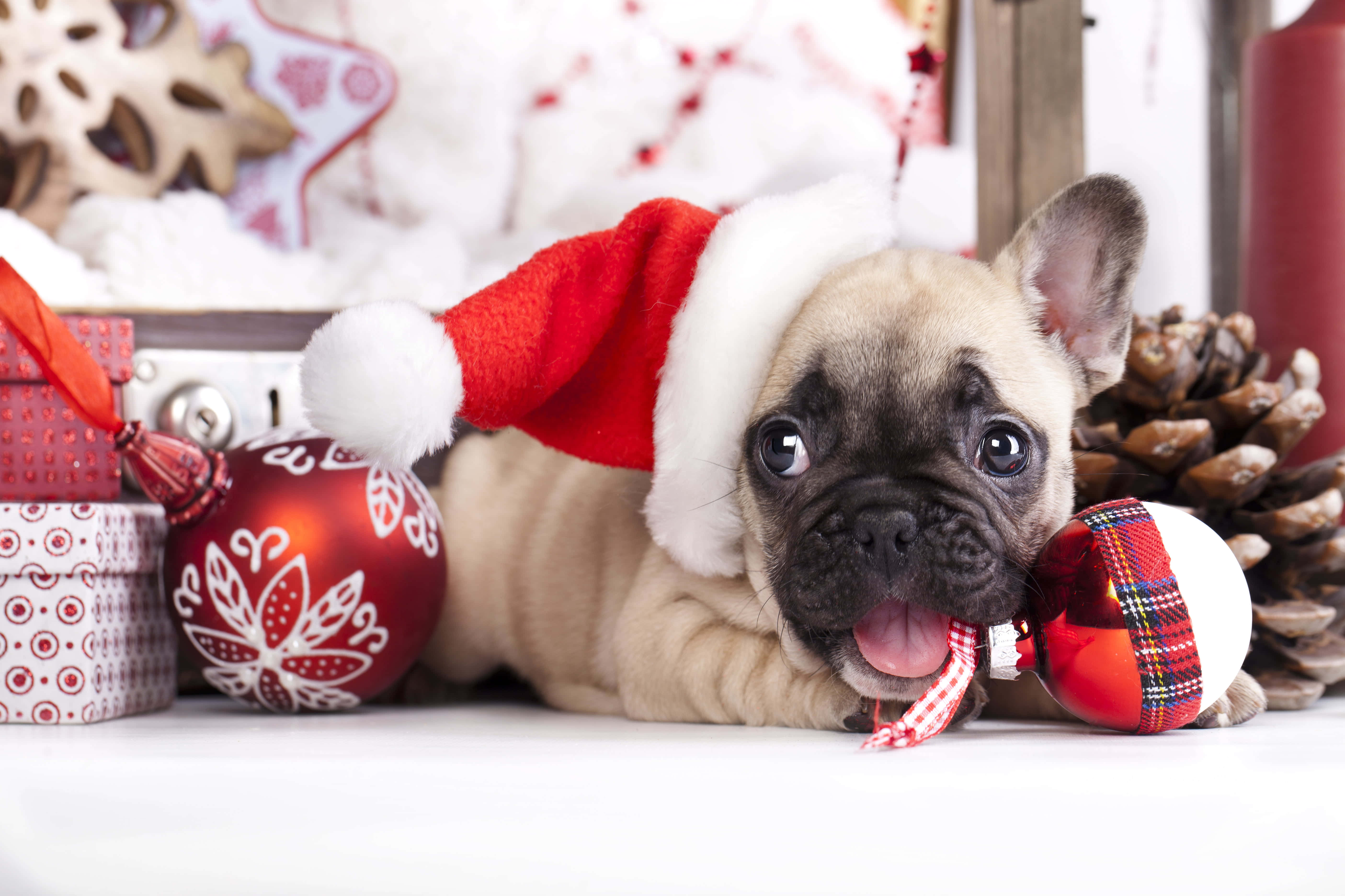 Lindas imágenes navideñas estéticas Fondos de pantalla