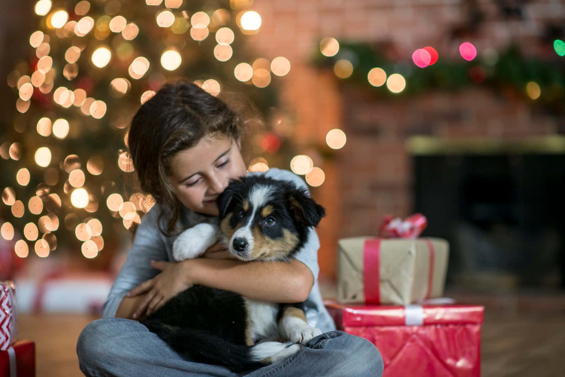 Lindas imágenes navideñas Fondos de pantalla
