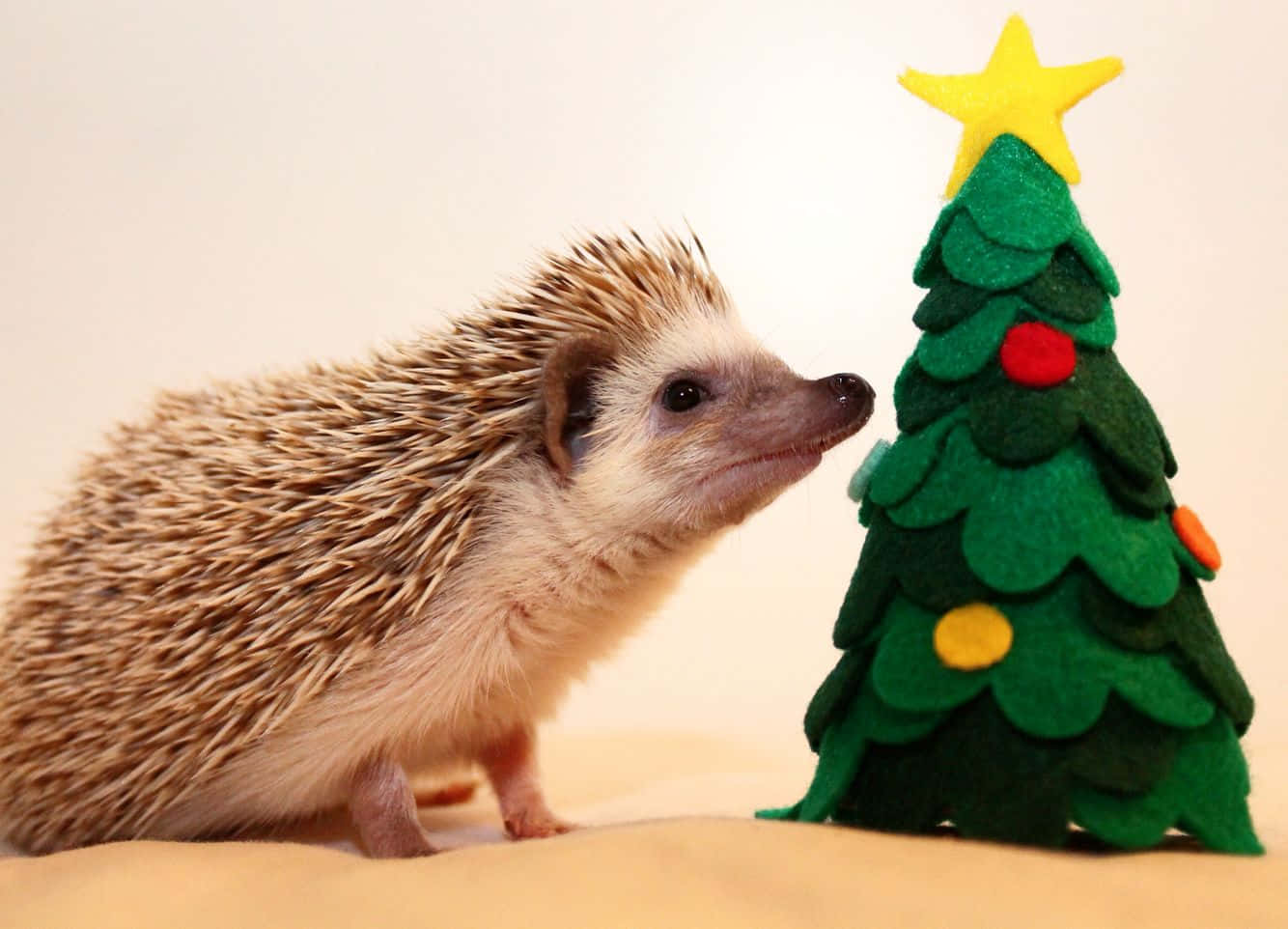 Lindas imágenes navideñas Fondos de pantalla