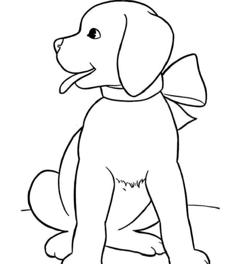 Lindos dibujos para colorear de perro con moño Fondos de pantalla