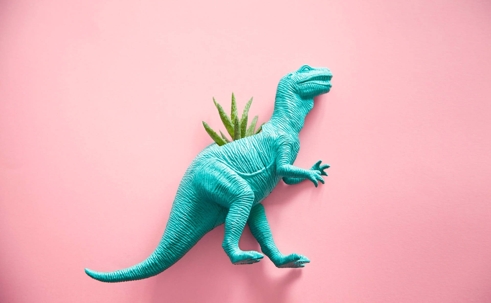 Lindos dinosaurios T-rex rosa y planta Fondos de pantalla