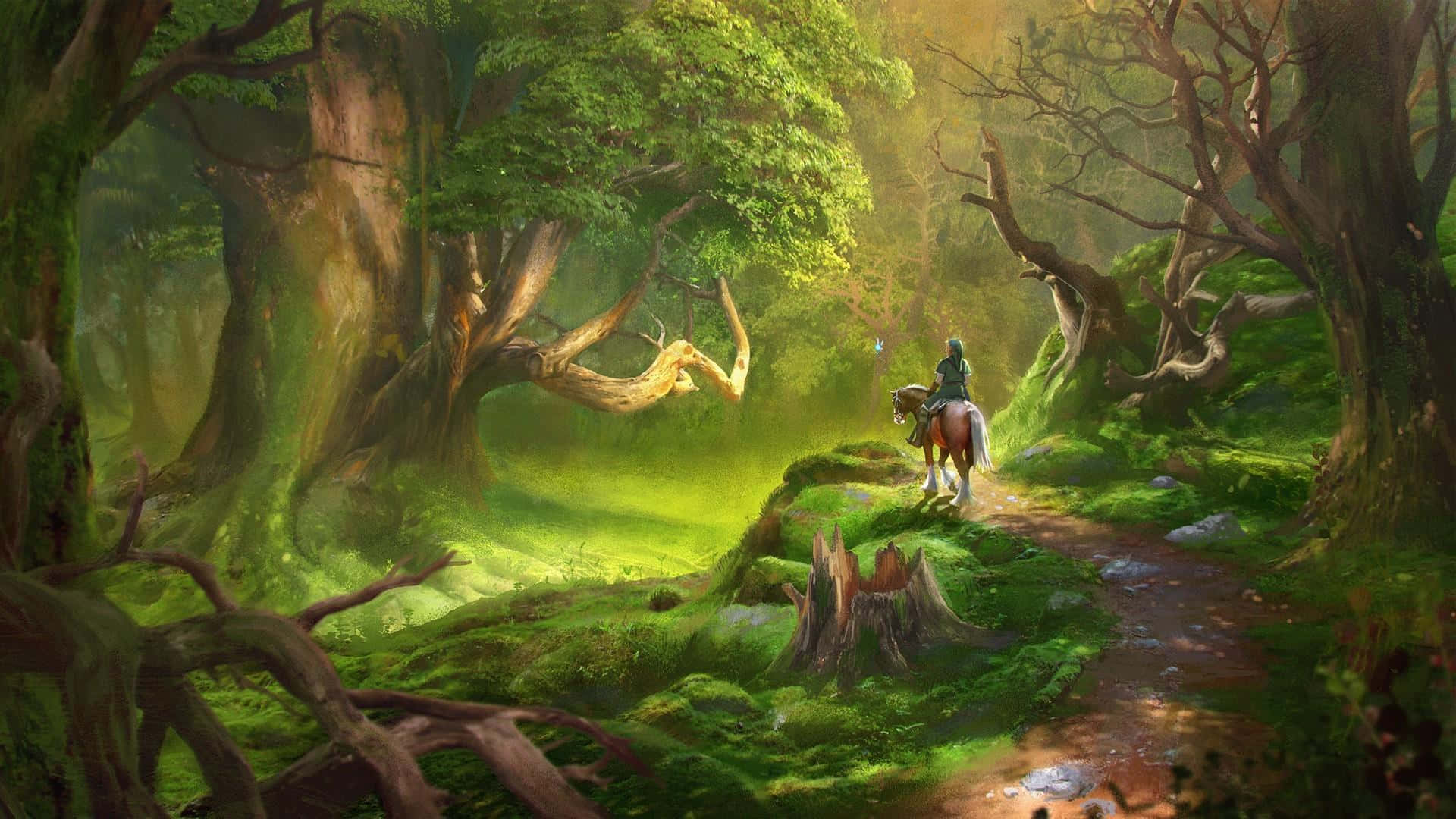 Link, el valiente héroe del tiempo en Legend of Zelda Fondos de pantalla