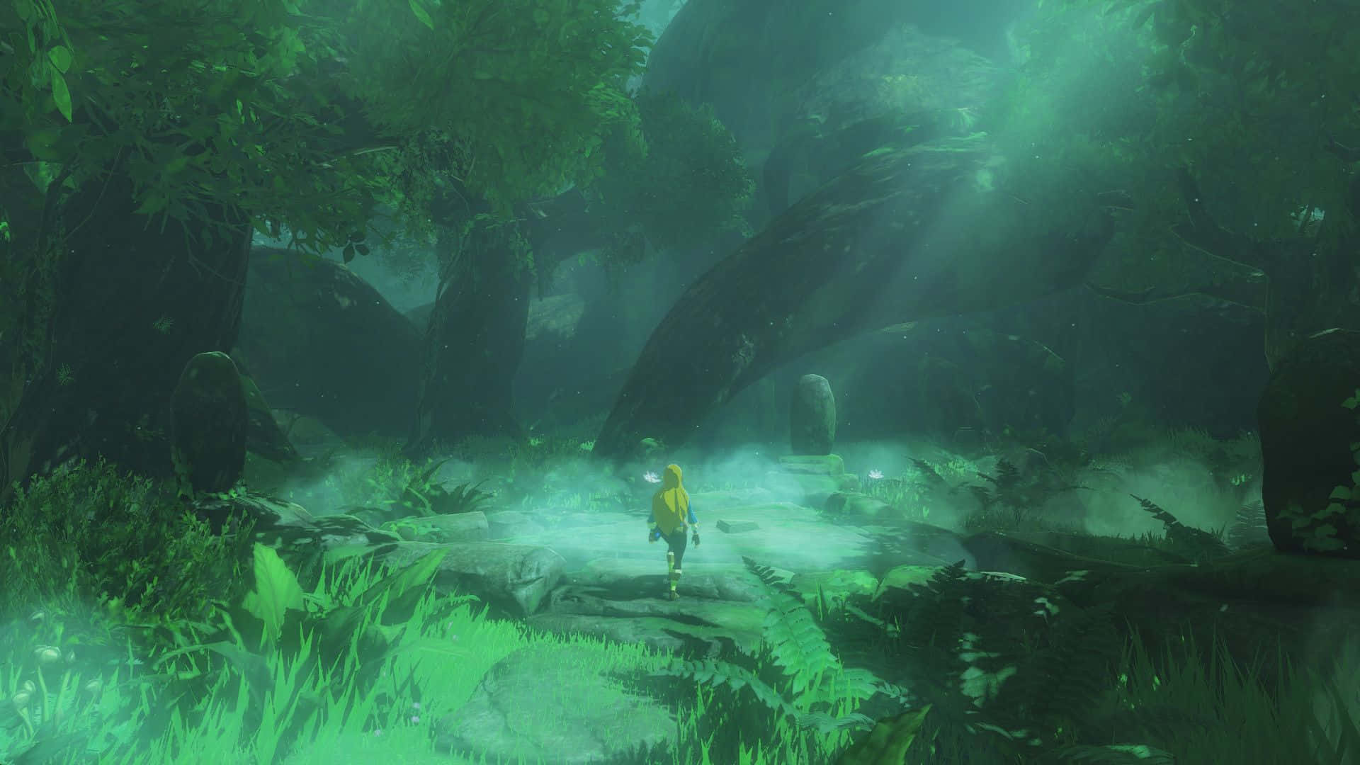 Link en un viaje por el mundo de The Legend of Zelda Fondos de pantalla