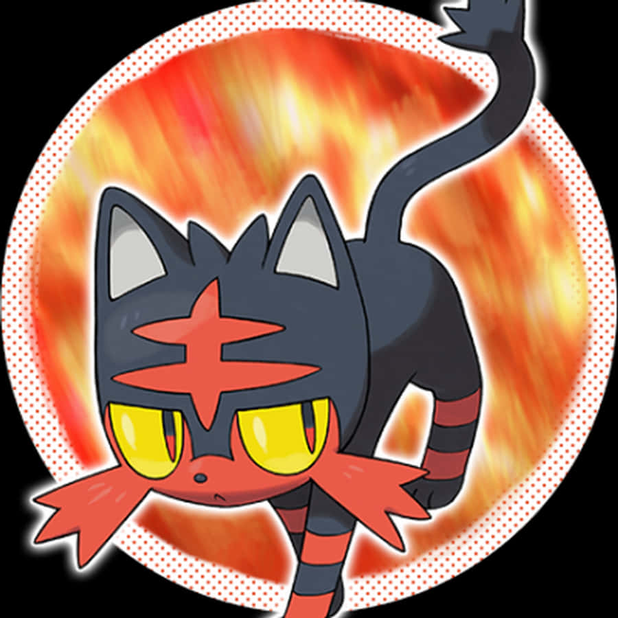 Litten con gráfico de círculo naranja Fondos de pantalla