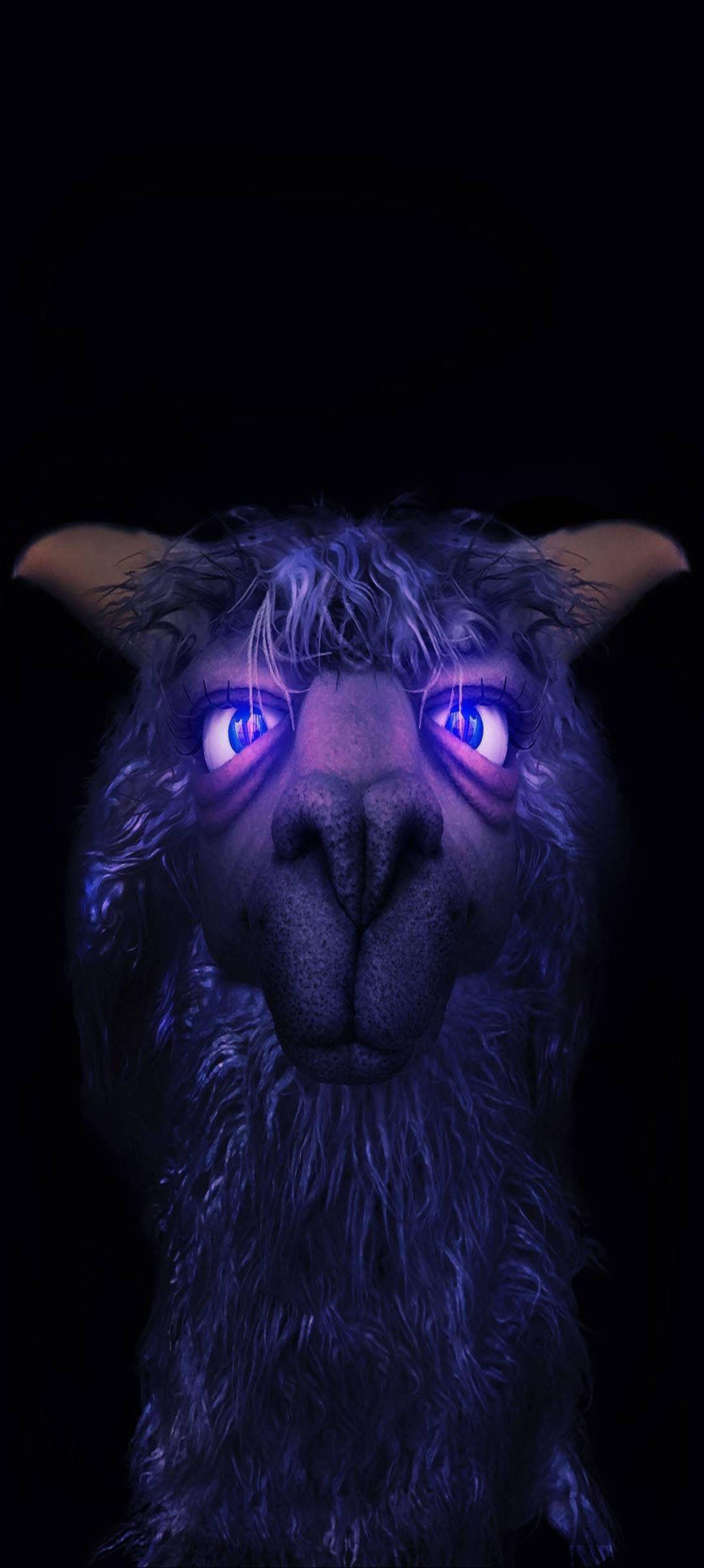 Llama violeta estética para chico Fondos de pantalla
